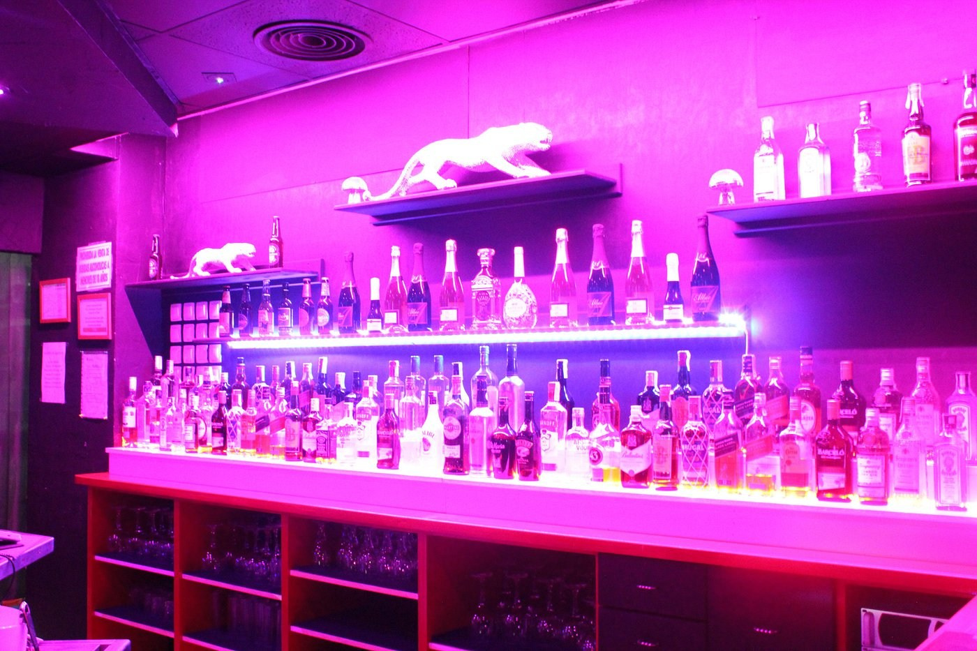 Vip Lounge Discoteca | FOTKAI, Торревьеха