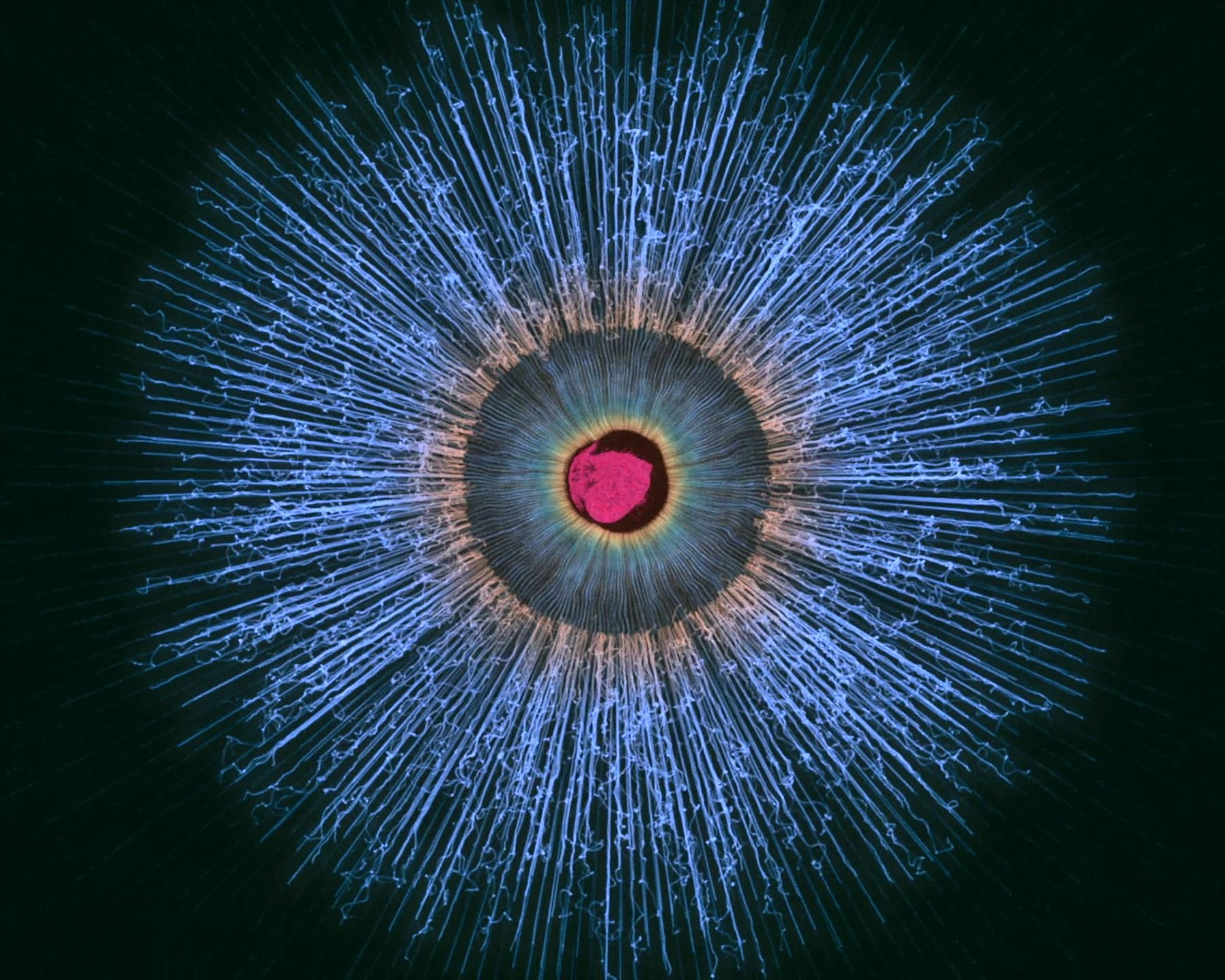 Souls. Анатолий Зайончковский. Профессиональный видеомонтаж для YouTube и не только