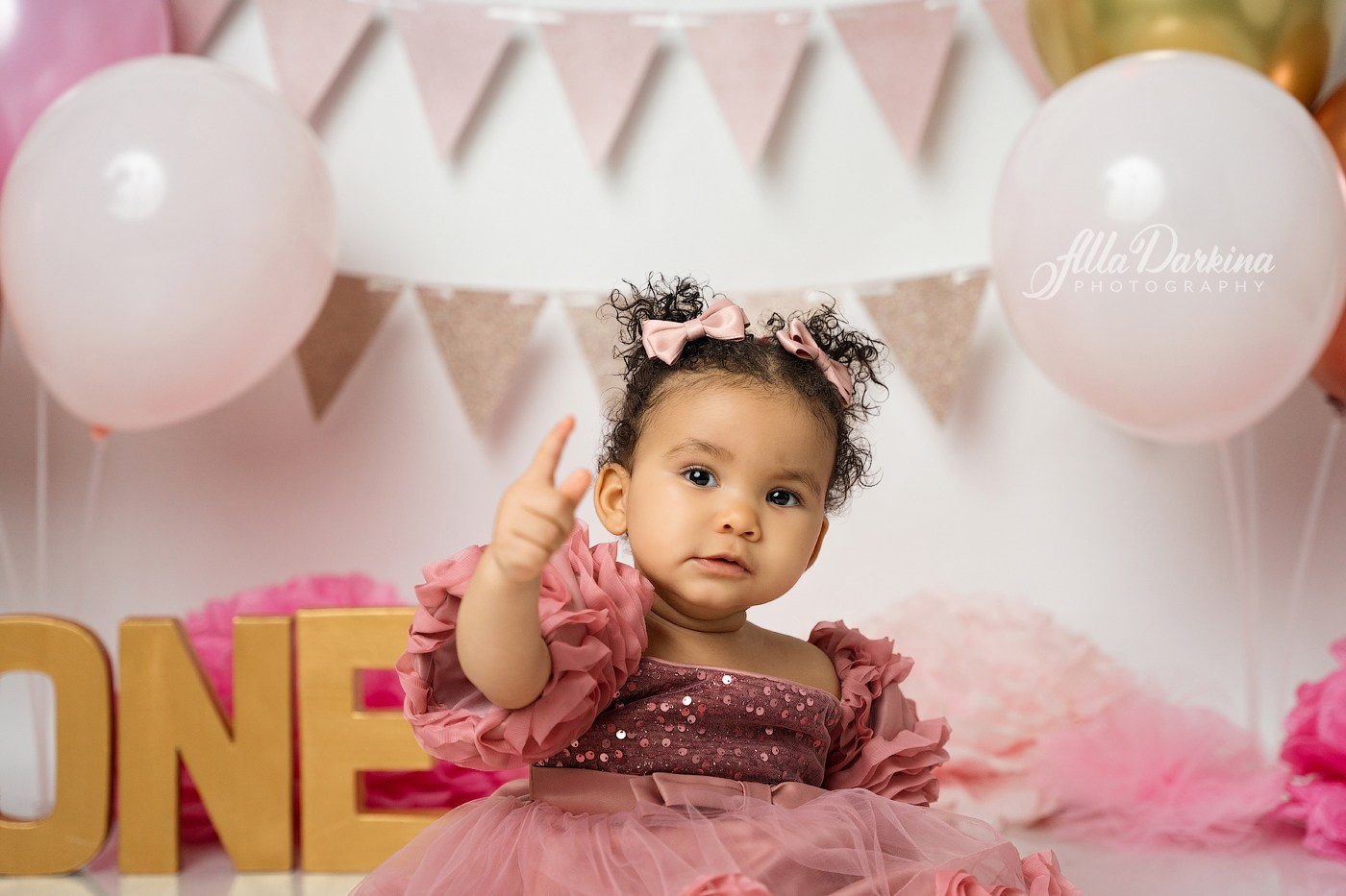 First year selebration. Newborn and family photographer. Hills District. Sydney