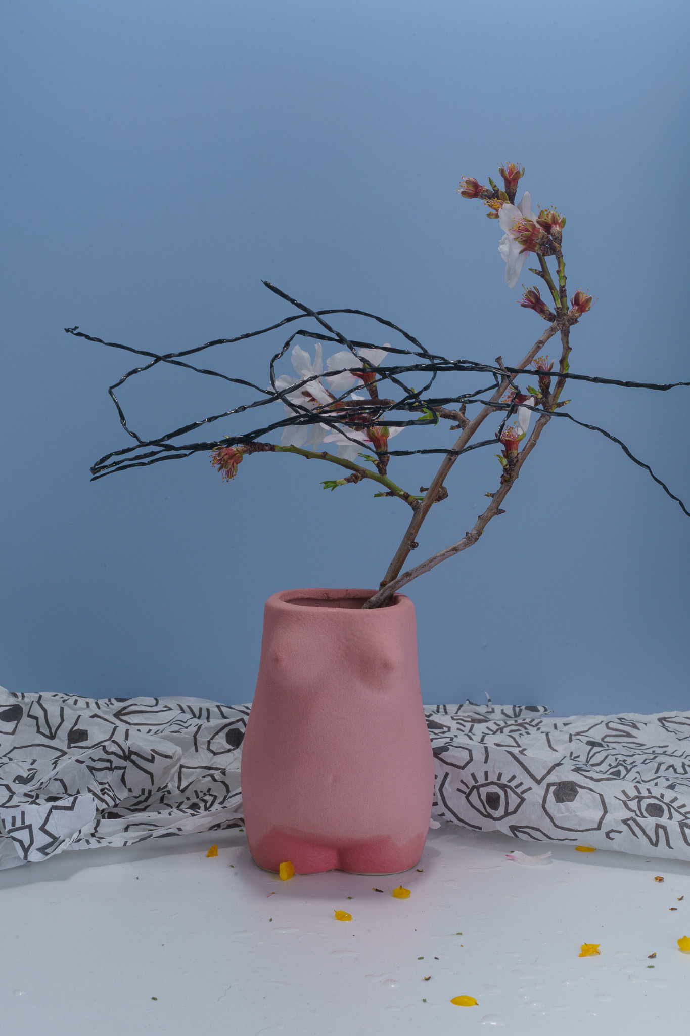 Still life. Ant | photo