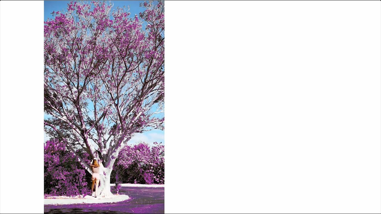 PERFORMANCE. Visual Artist Raisa Boiko