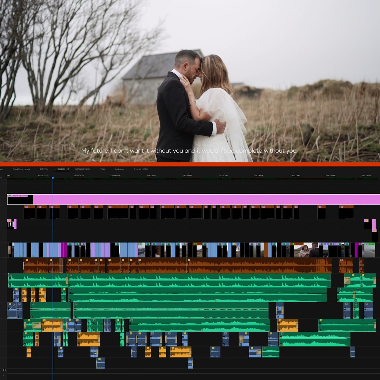 Analiză și Editare Video. Axinte Films
