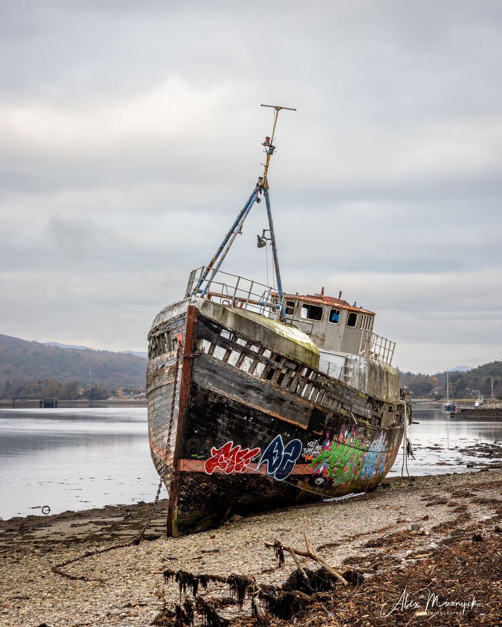 Scotland’s Highlands. Pet, Senior, Landscape, portrait studio, photographer in Miami and Sou