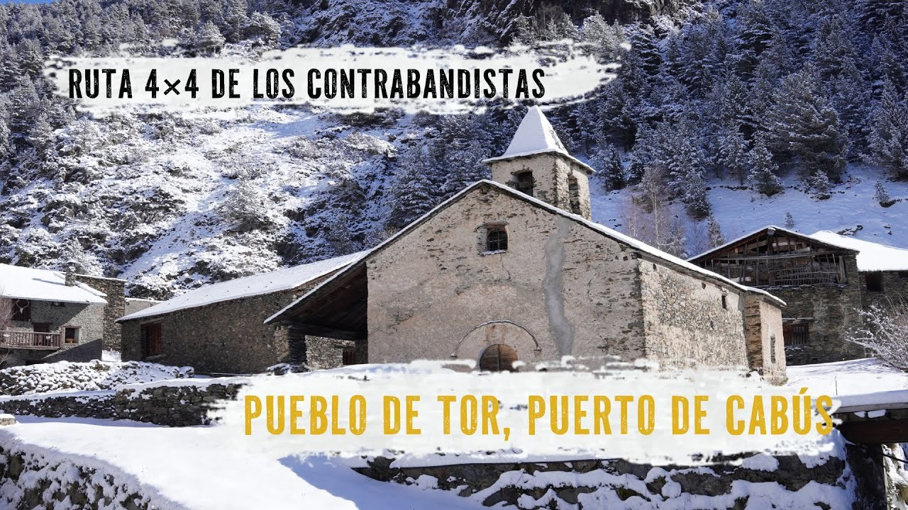 Videos. Alba del Norte Studio