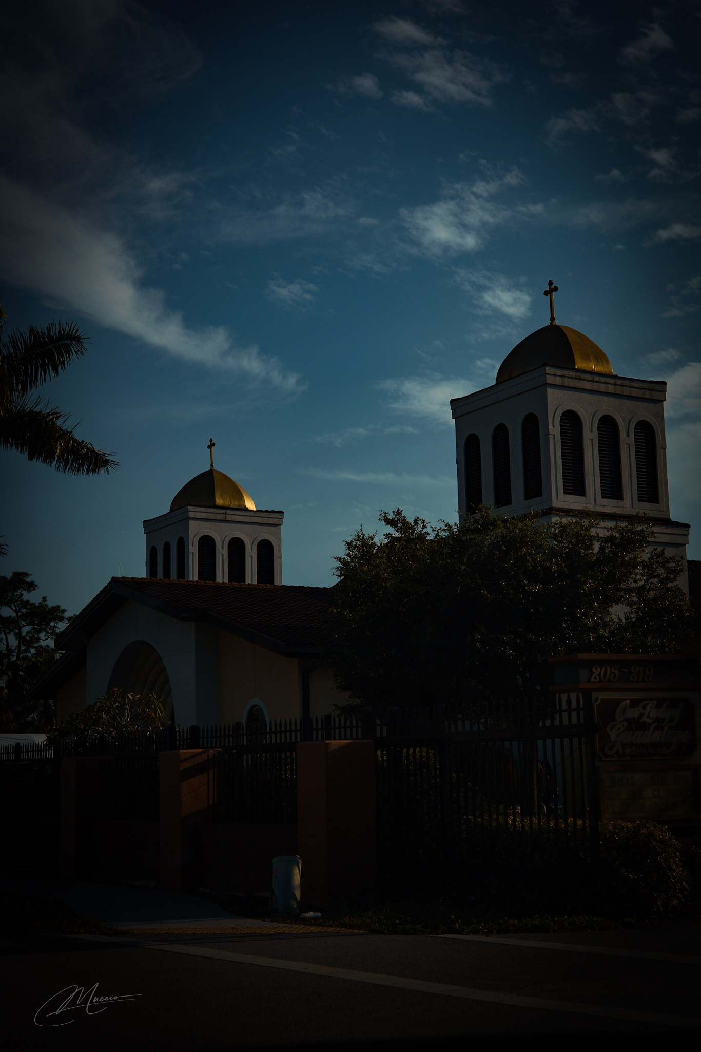 Americana — Immokolee. Out and About 239