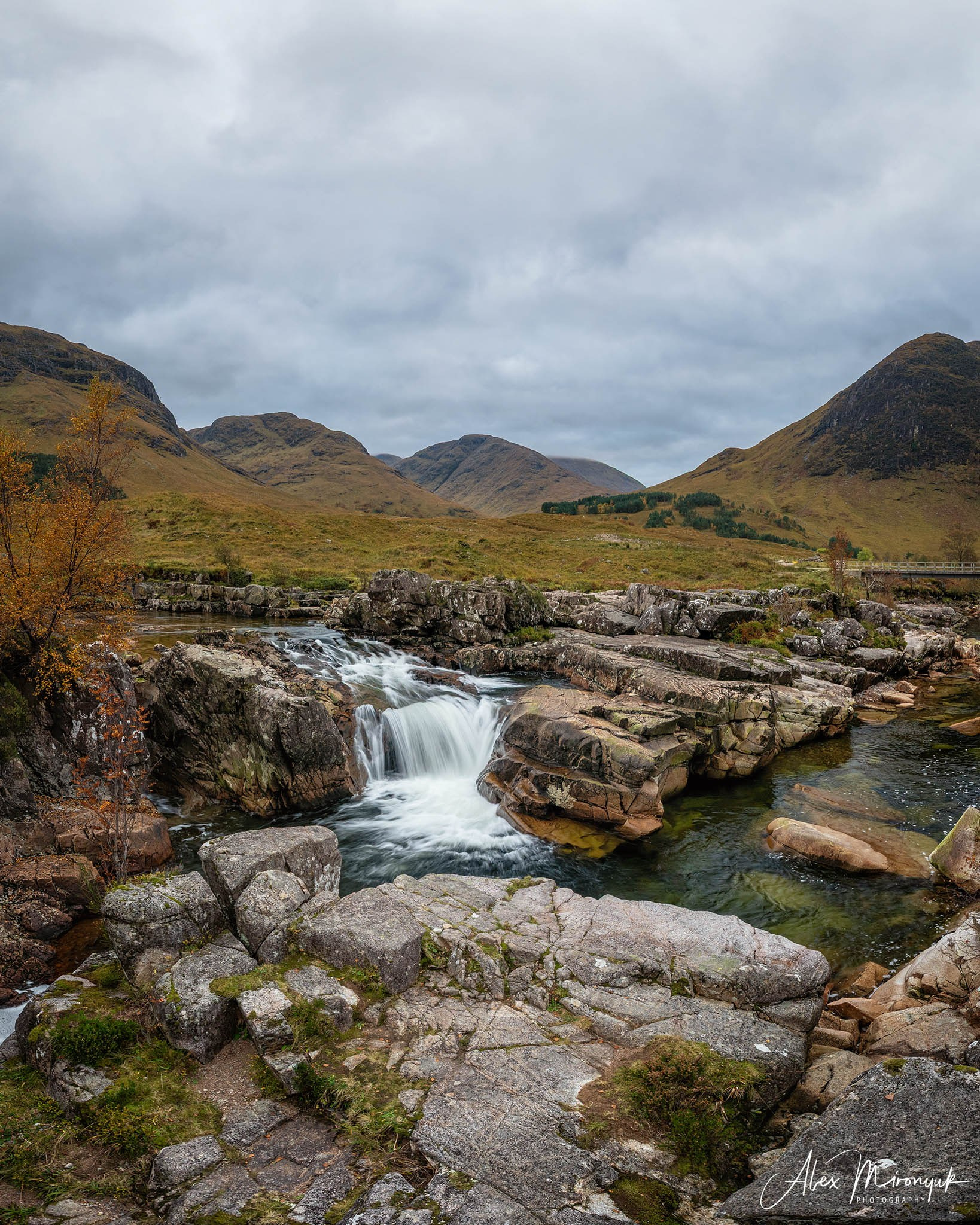 Scotland’s Highlands. Pet, Senior, Landscape, portrait studio, photographer in Miami and Sou