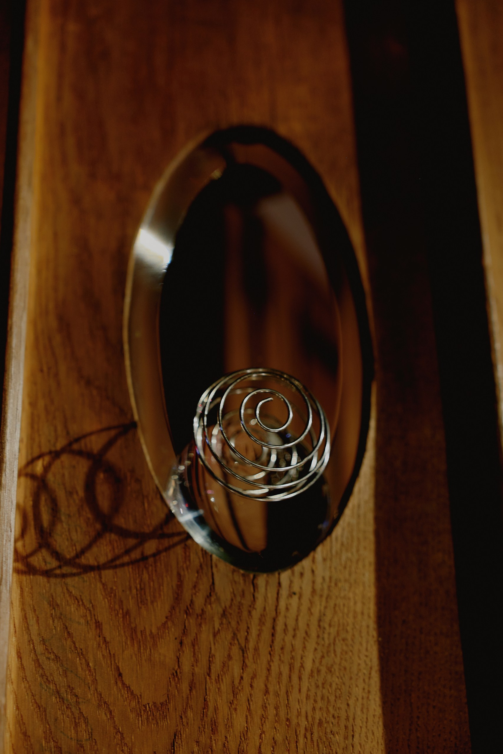 Spira mirabilis| Удивительная спираль. Alina Kugush