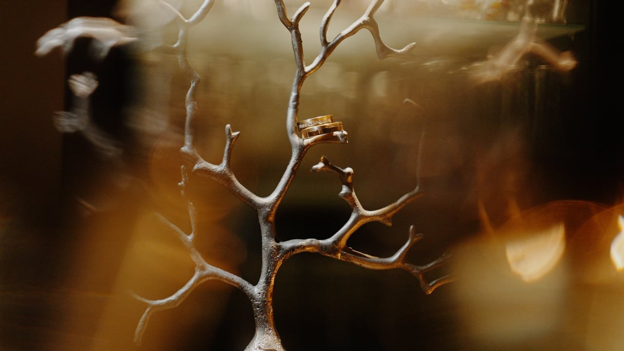 PORTOFOLIO. Srussu.com