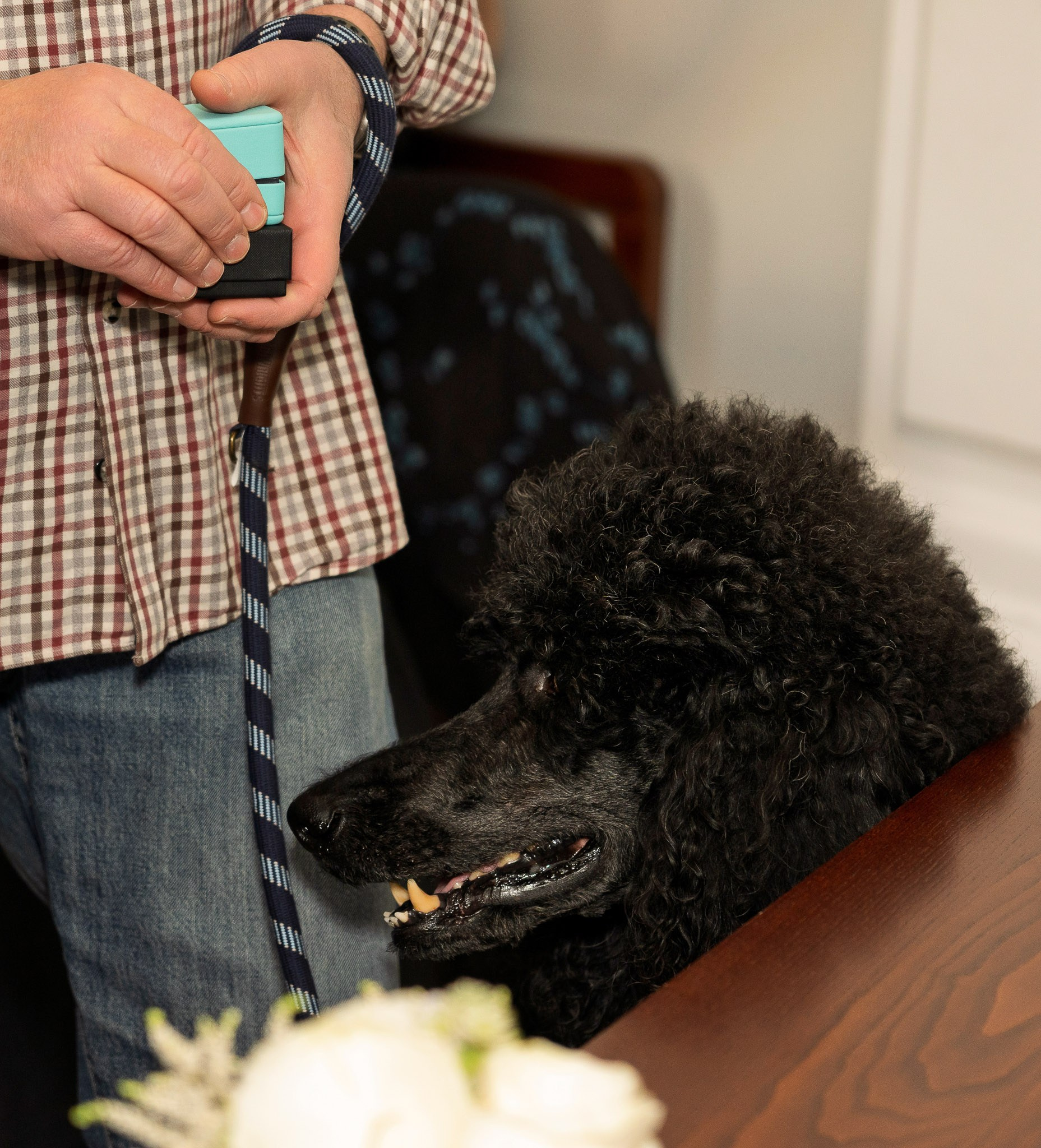 Events. Wedding photographer in United Kingdom