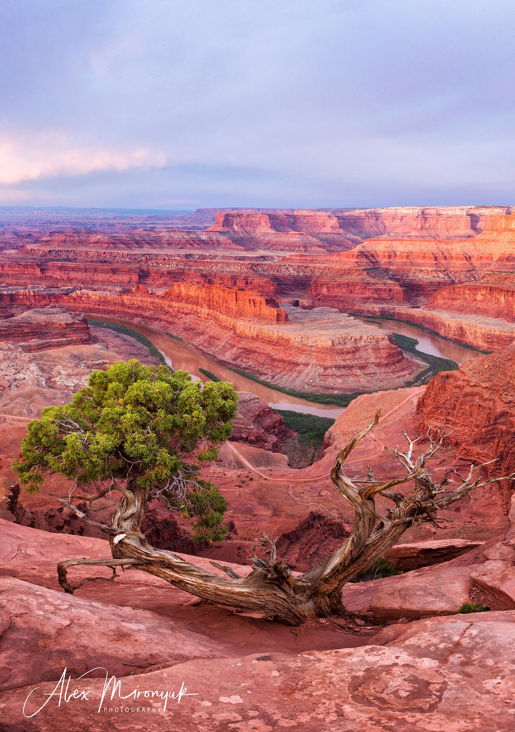 New Year In Utah. Pet, Senior, Landscape, portrait studio, photographer in Miami and Sou