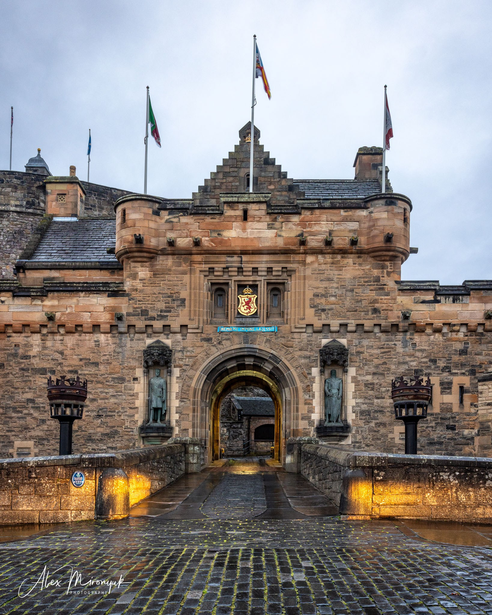 Scotland’s Highlands. Pet, Senior, Landscape, portrait studio, photographer in Miami and Sou