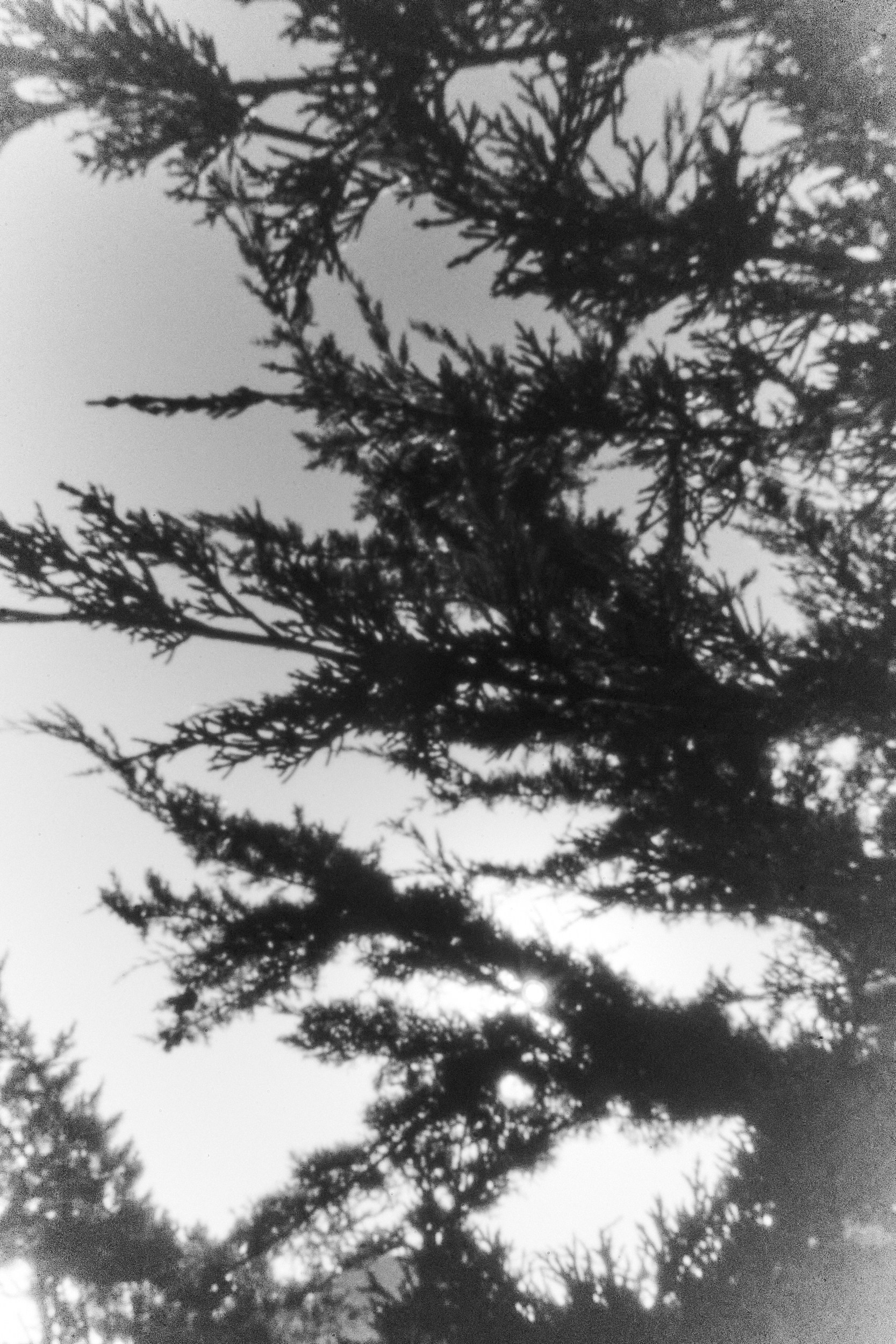 Entrance to the void-1. GLISH ART — Timofey Glinin & Anastasia Shubina