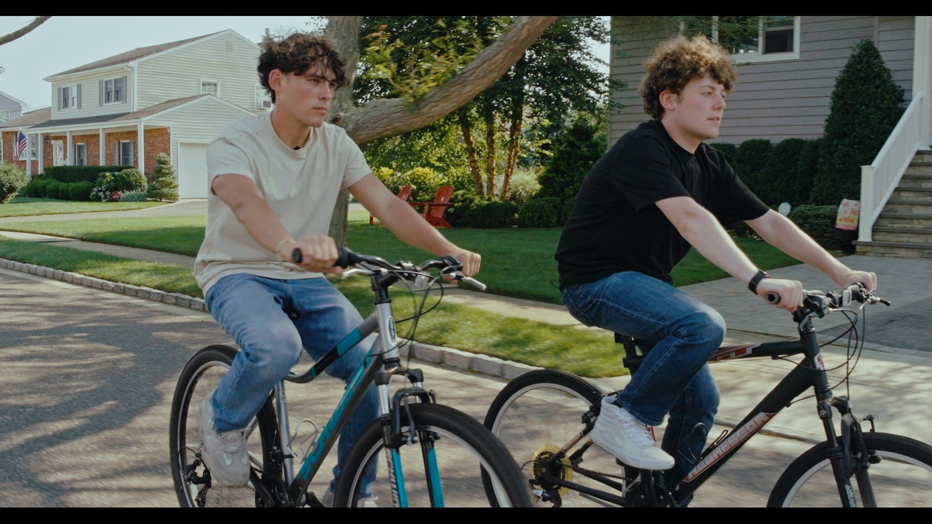 Amirhamzeh Mashayekhi Colorist