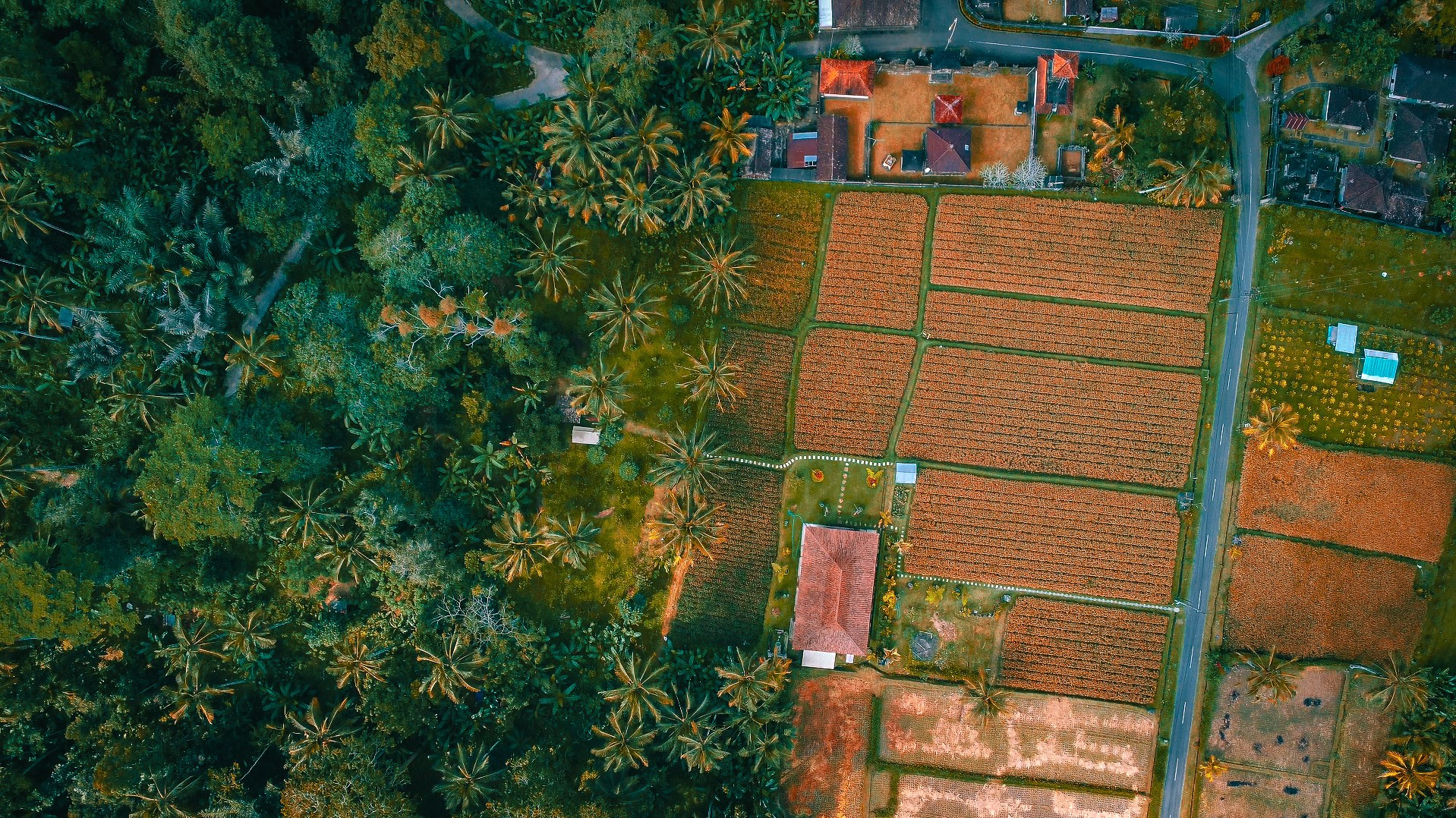 WallMuse. MHCreative is family-oriented photographer based in SYDNEY