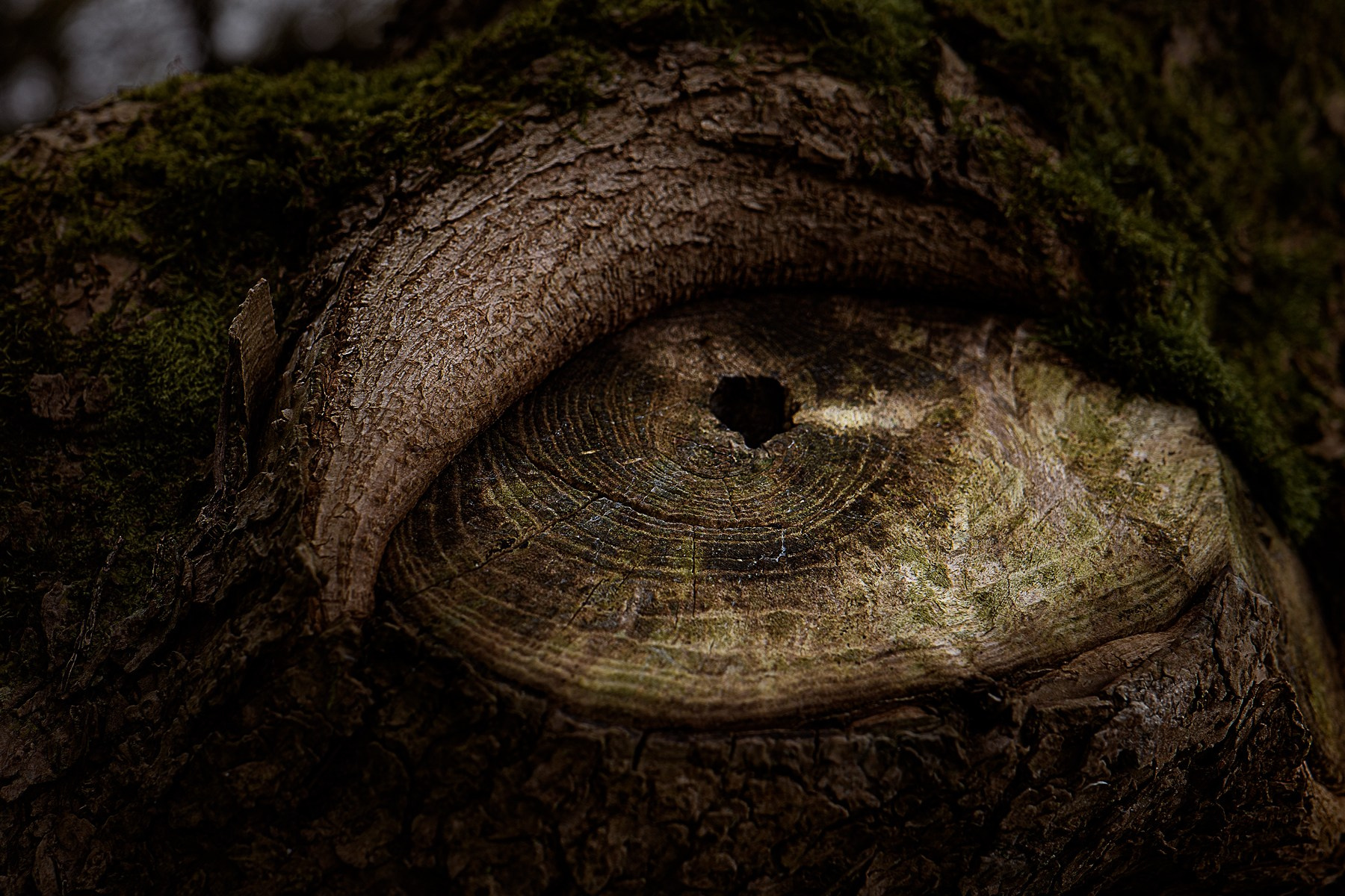 VOGUE. Portrais créatifs de familles et individuels, Ile et Vilaine, France