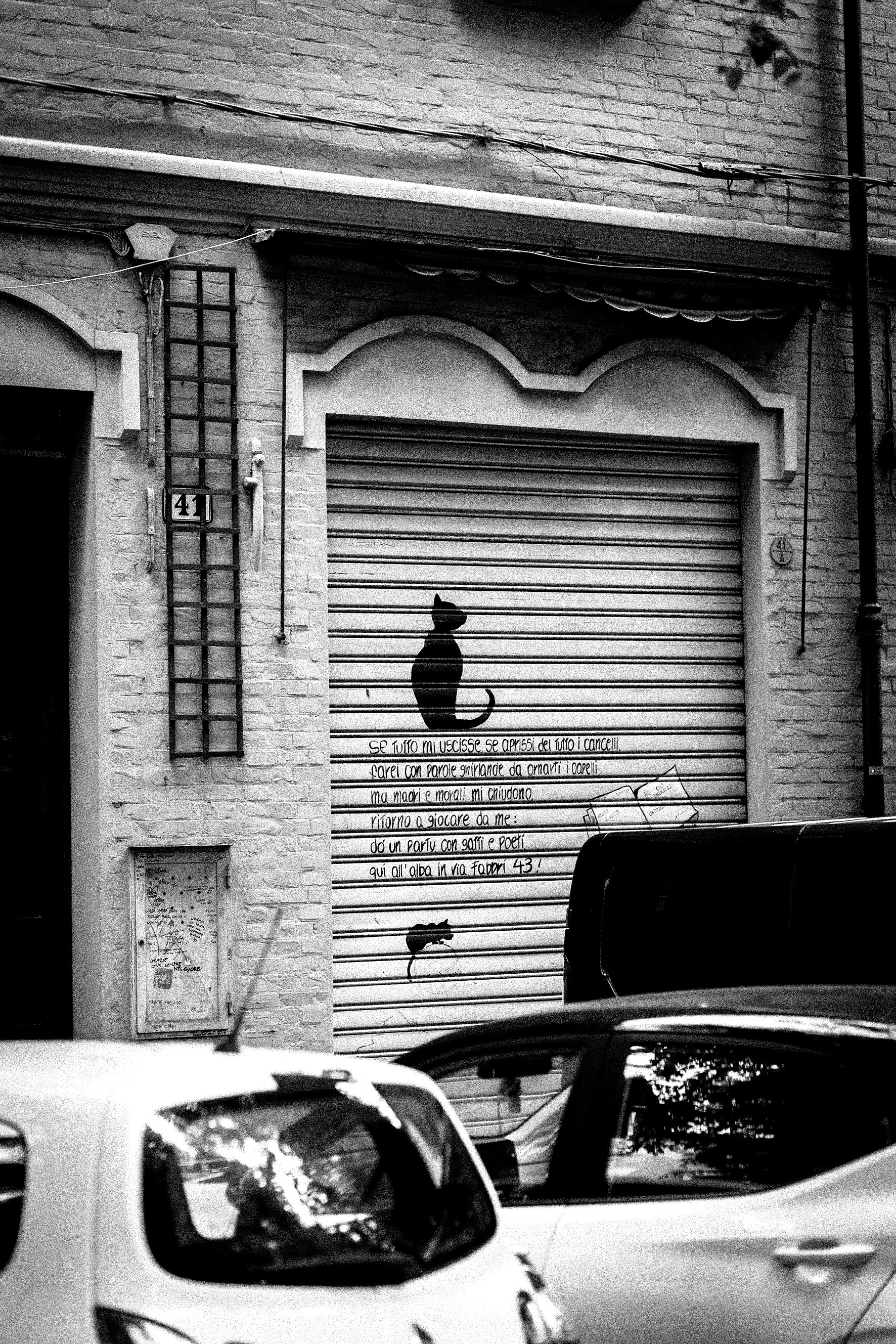 BNW Around Photography