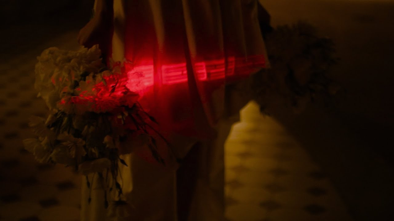 Pelėda Paulius / organiški video produktai