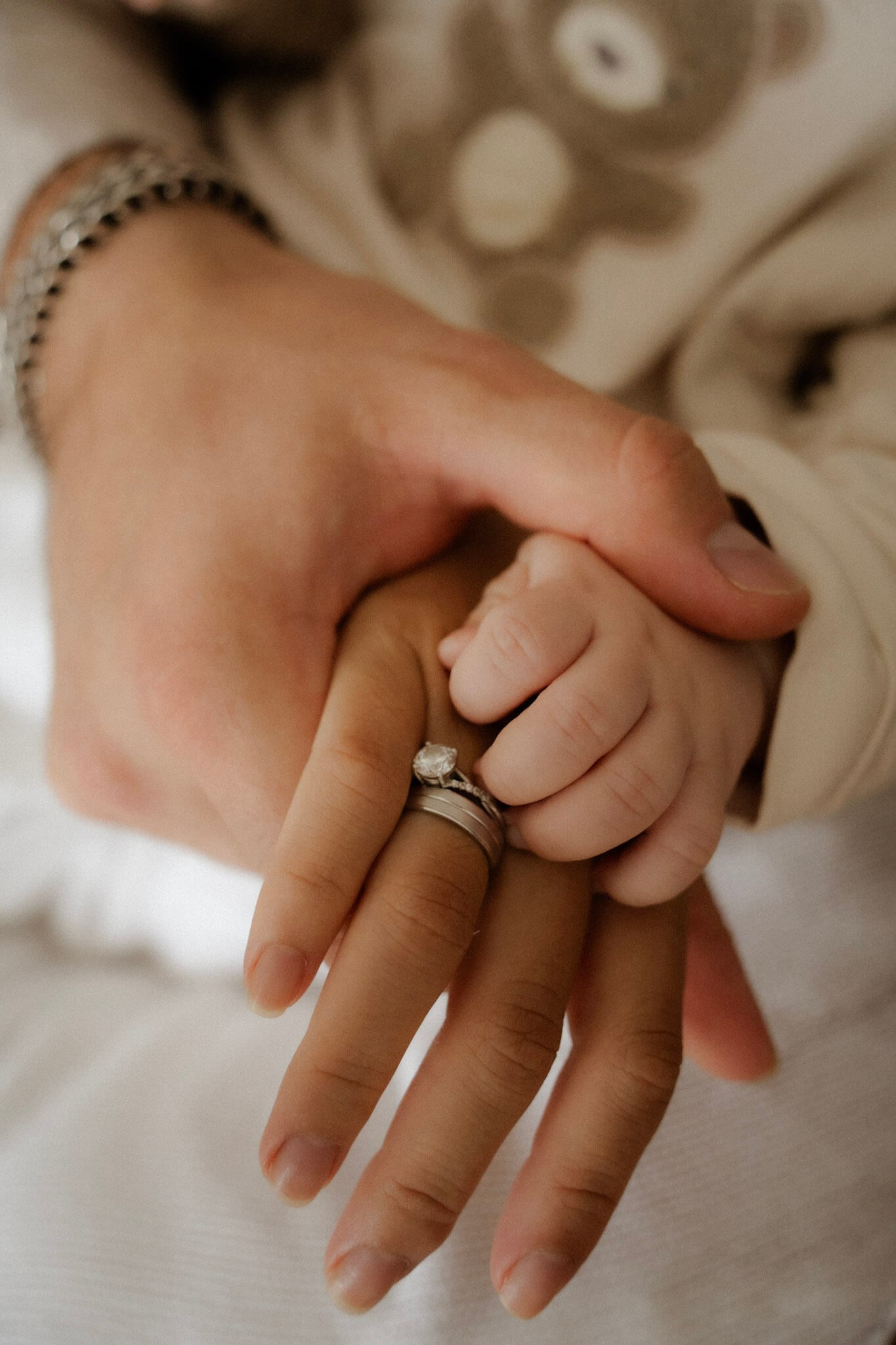 Everwarm Photo and Video Studio