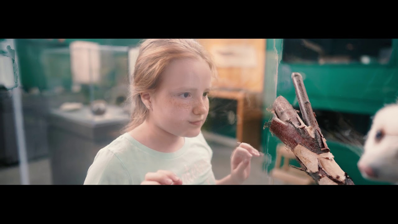 Ithaca (New York) — Pool, Museum of the Earth. Emin Kuliyev — Award-Winning Wedding Photojournalist NYC & USA | Best Wedding Photographer Known for Candid, Timeless Moments