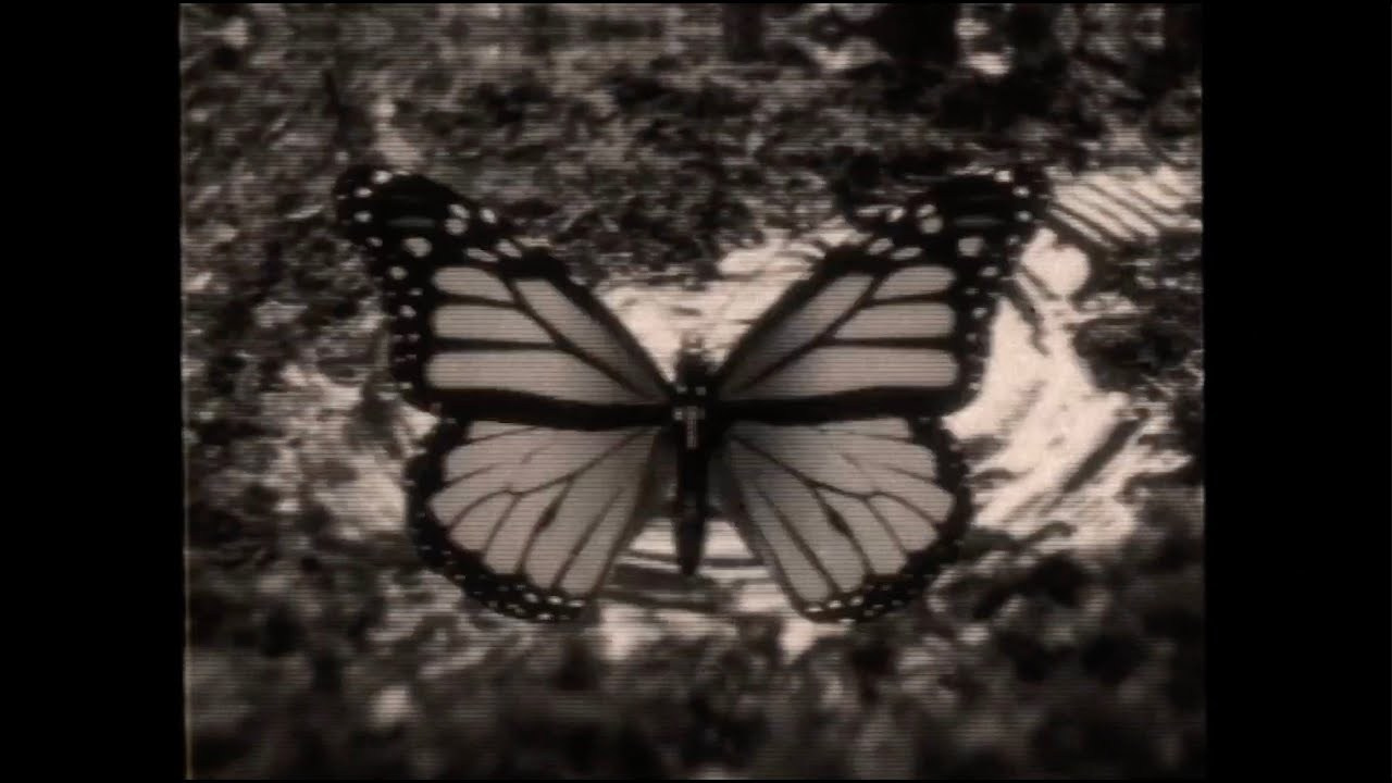 La hija de Dave Grohl inicia su propia carrera: Violet, de 19 años, firma con Republic Records | FOTKAI