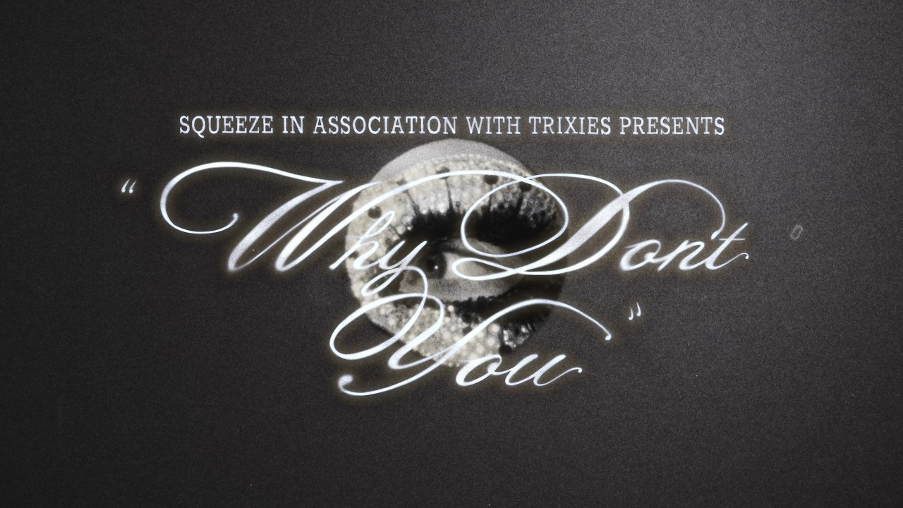 La legendaria banda británica Squeeze lanza un álbum escrito hace más de 50 años | FOTKAI