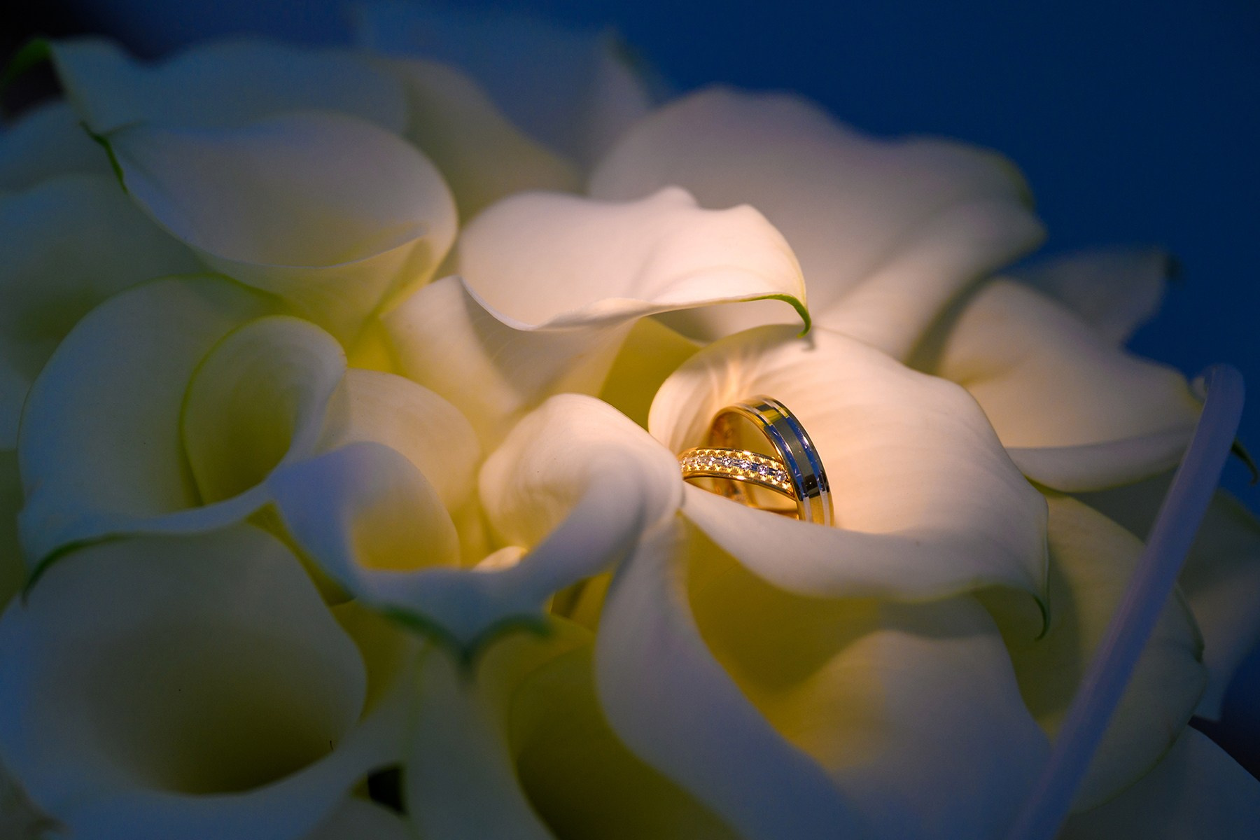 Nunta Andreea si Marian