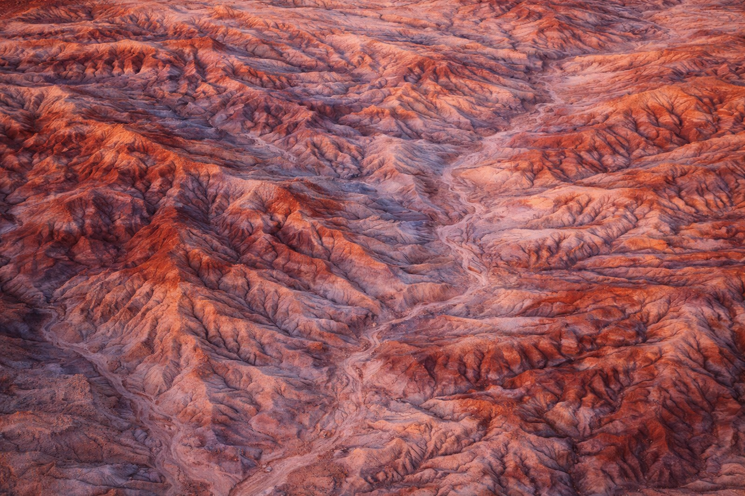 Eagle’s View — Arizona. Pet, Senior, Landscape, portrait studio, photographer in Miami and Sou