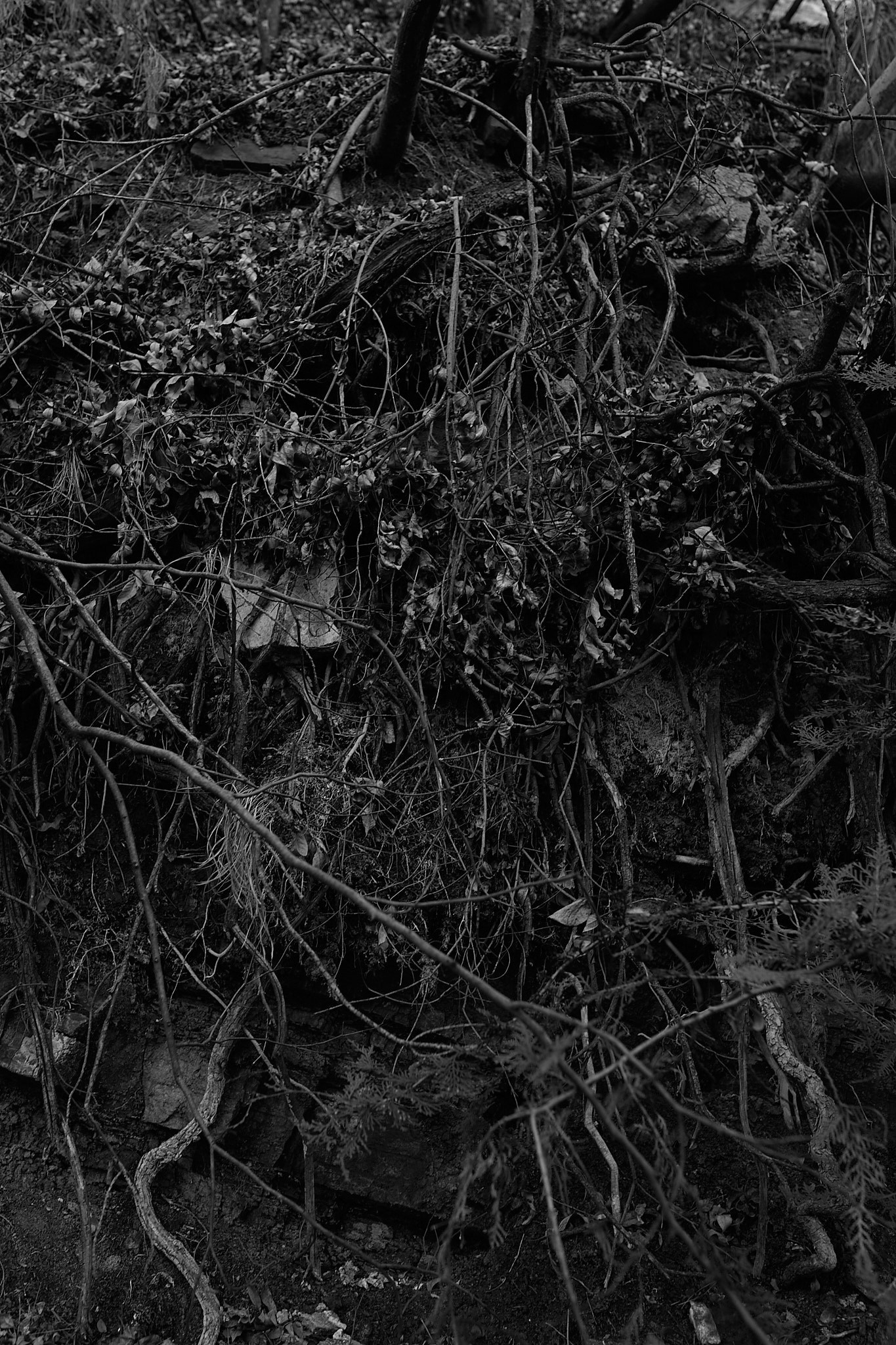 This is not your home. Visual artist