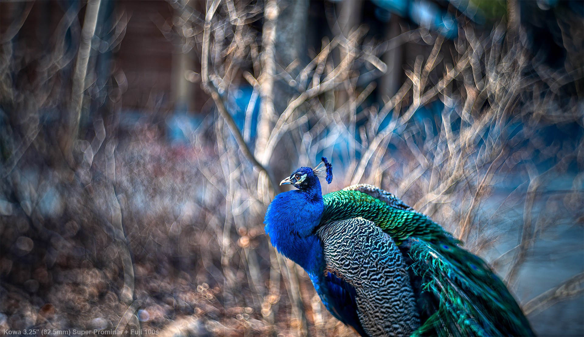 Unique Lens Experiments by Emin Kuliyev | Artistic Wedding Photography with Rare Manual & Projection Optics. Emin Kuliyev — Award-Winning Wedding Photojournalist NYC & USA | Best Wedding Photographer Known for Candid, Timeless Moments
