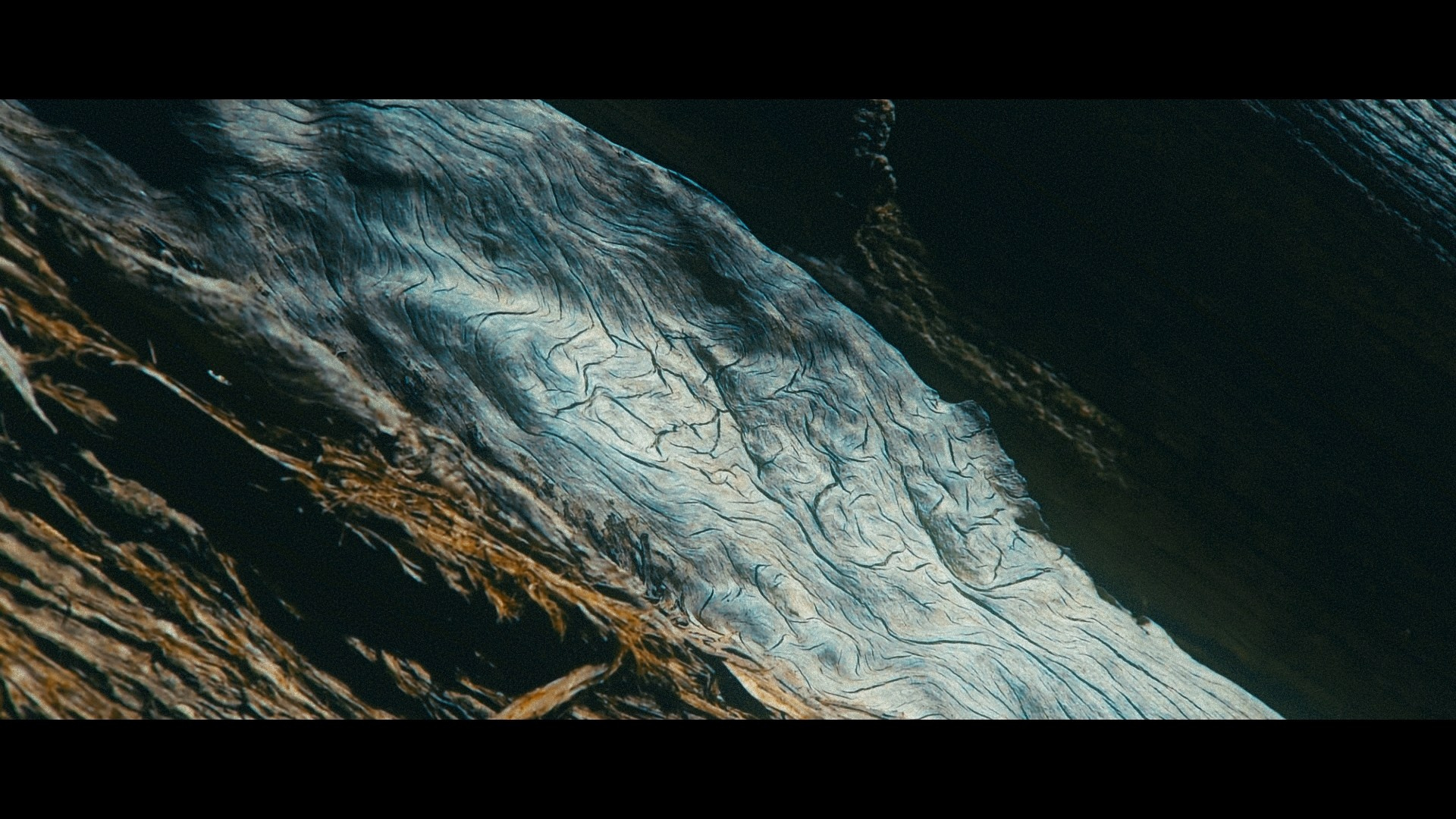 Amirhamzeh Mashayekhi Colorist