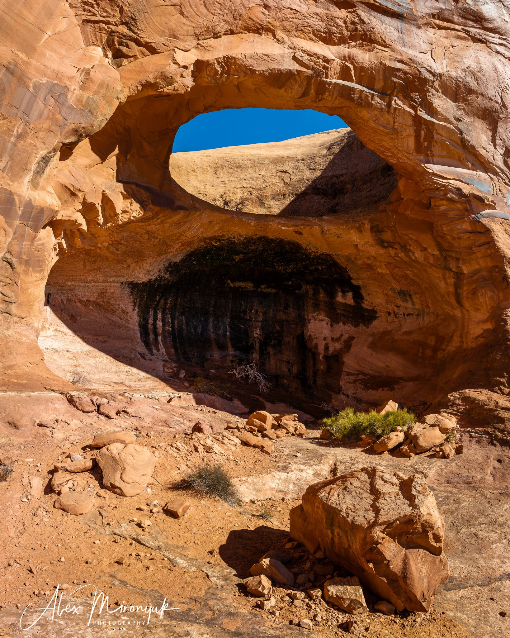 New Year In Utah. Pet, Senior, Landscape, portrait studio, photographer in Miami and Sou