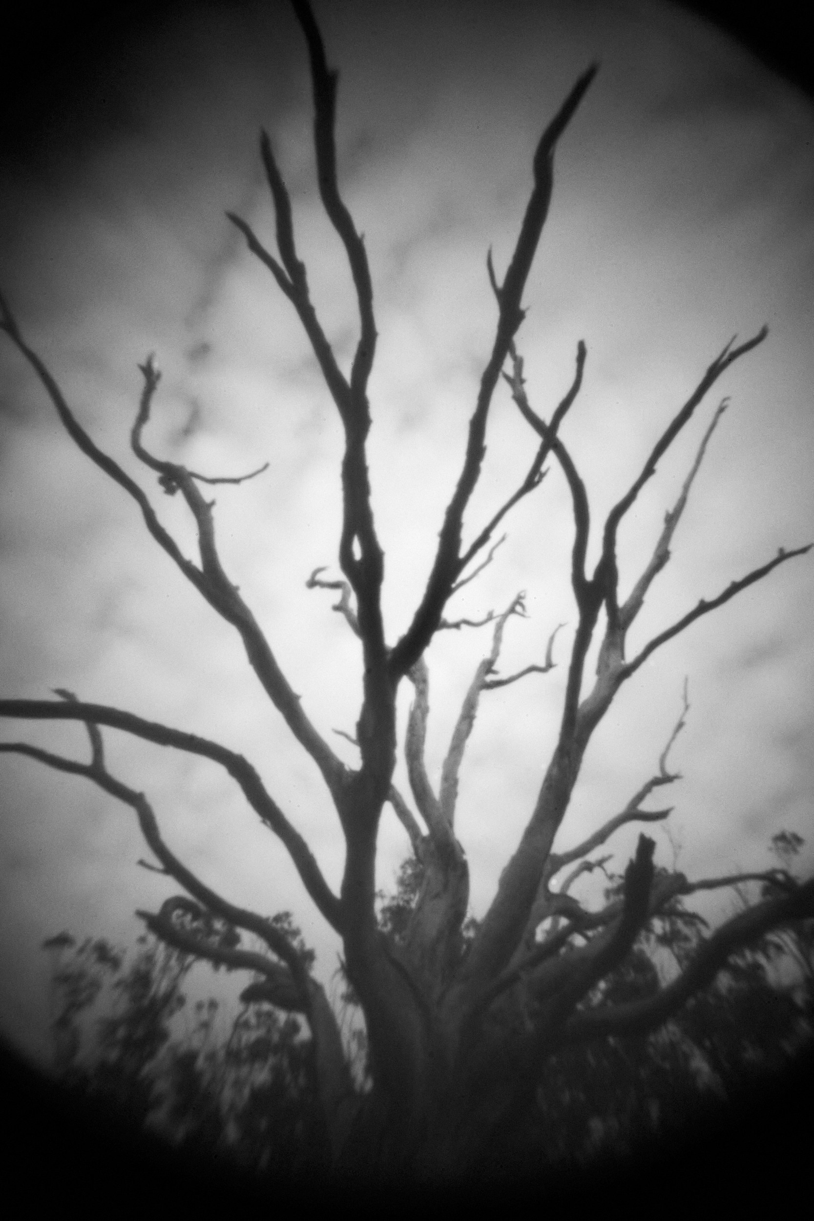 Entrance to the void-1. GLISH ART — Timofey Glinin & Anastasia Shubina