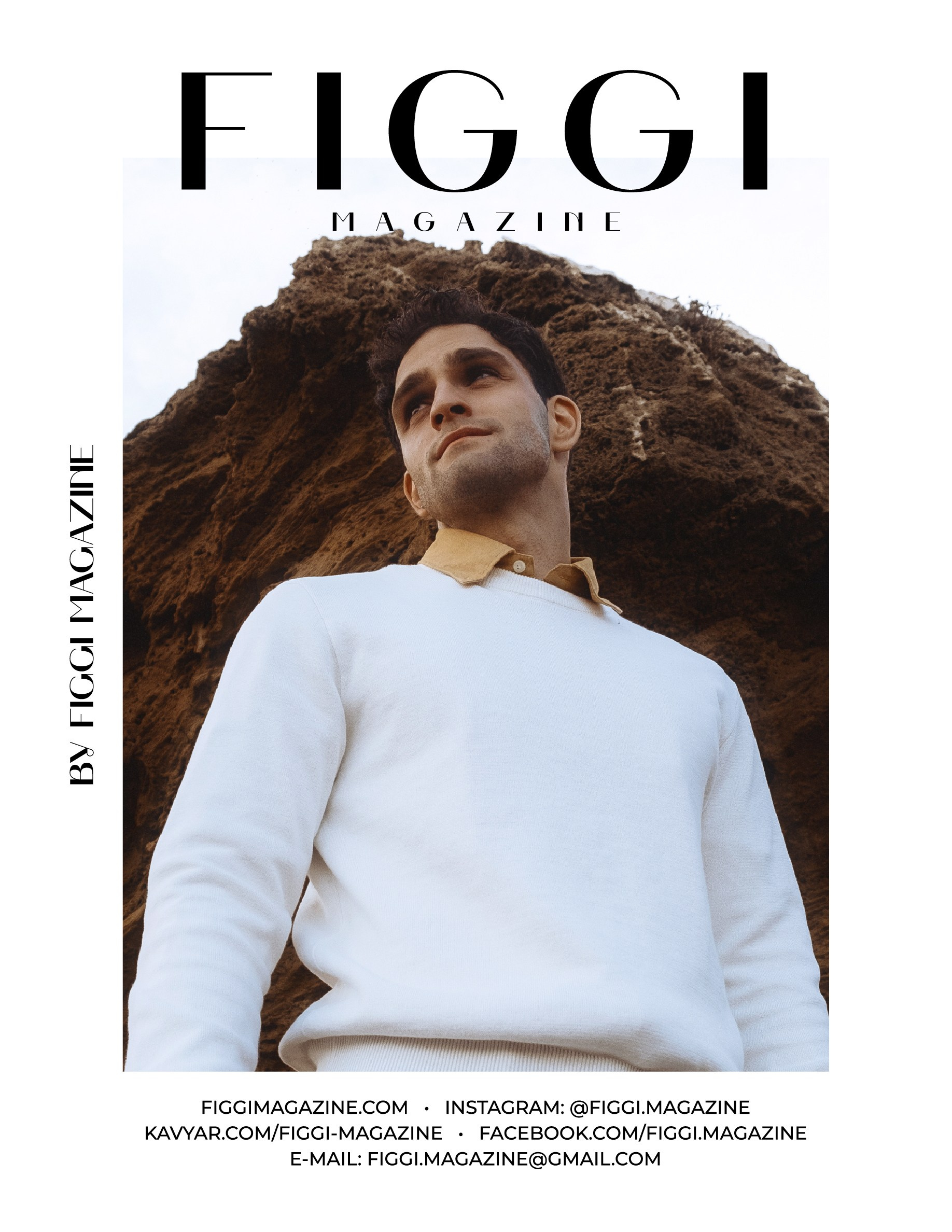 The best publications of the project Stone Cold