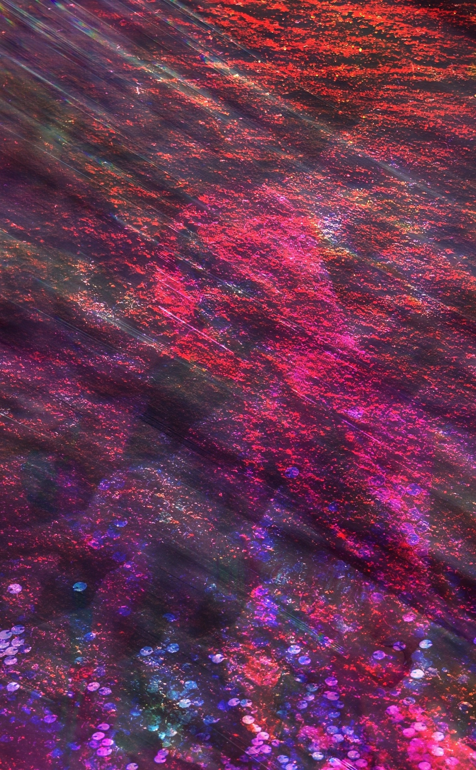 Продаж робіт. Photographer artist Liashenko Oksana