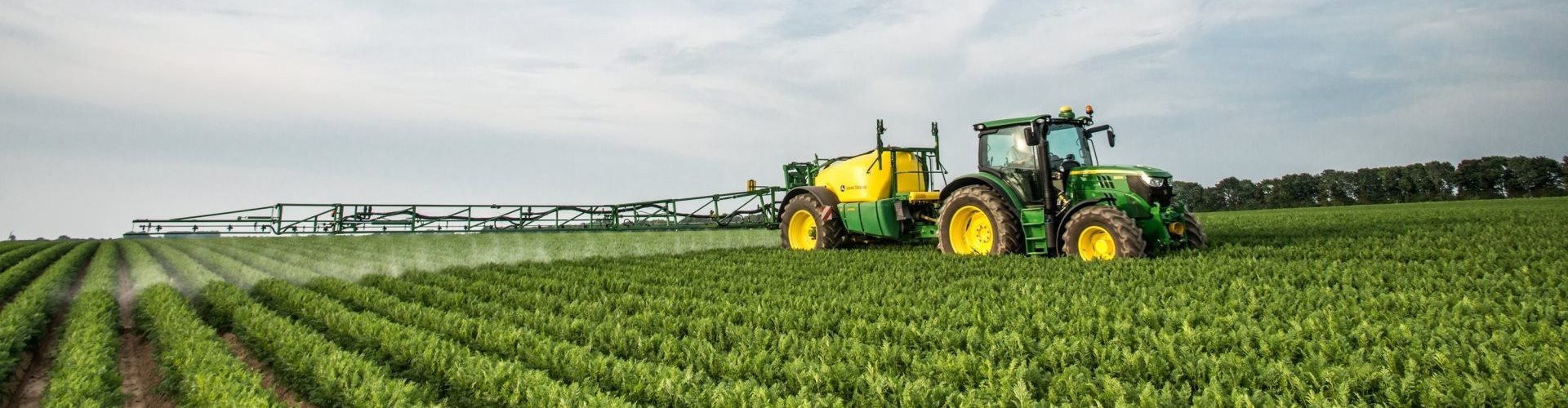 Peat Moss Organic fertilizer