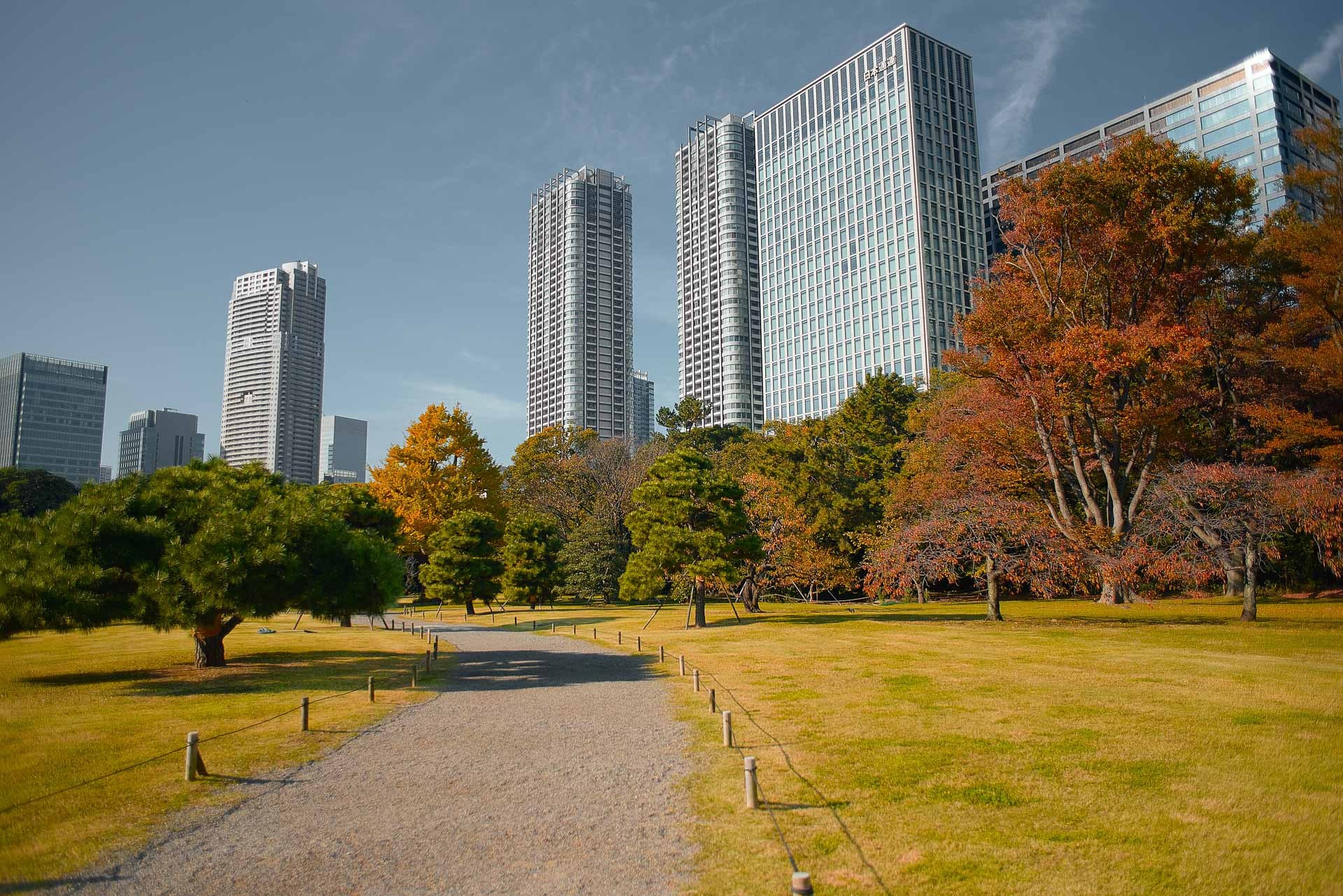 Tokyo Travel Photography Guide: Best Districts, Attractions & Tips
