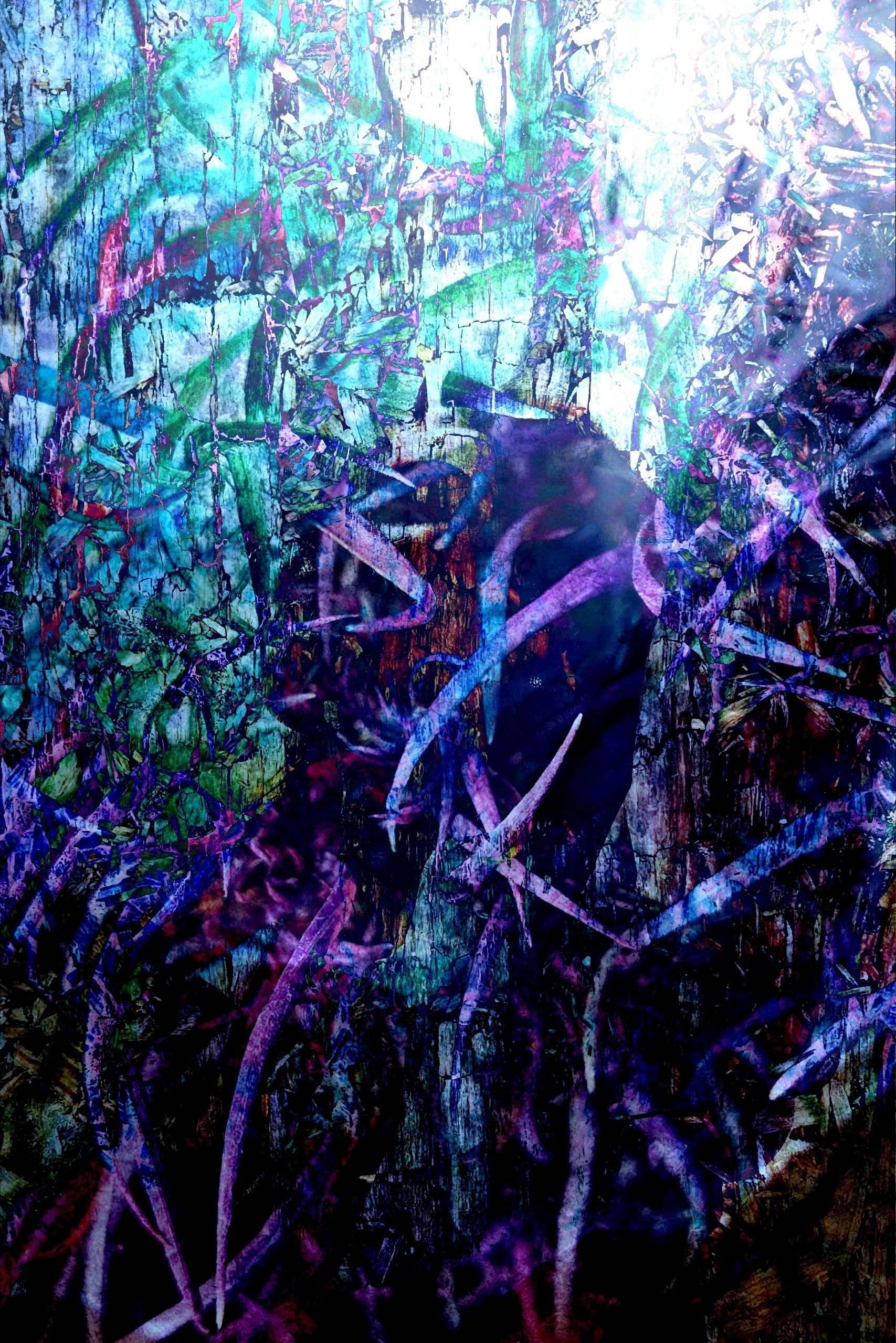 Продаж робіт. Photographer artist Liashenko Oksana