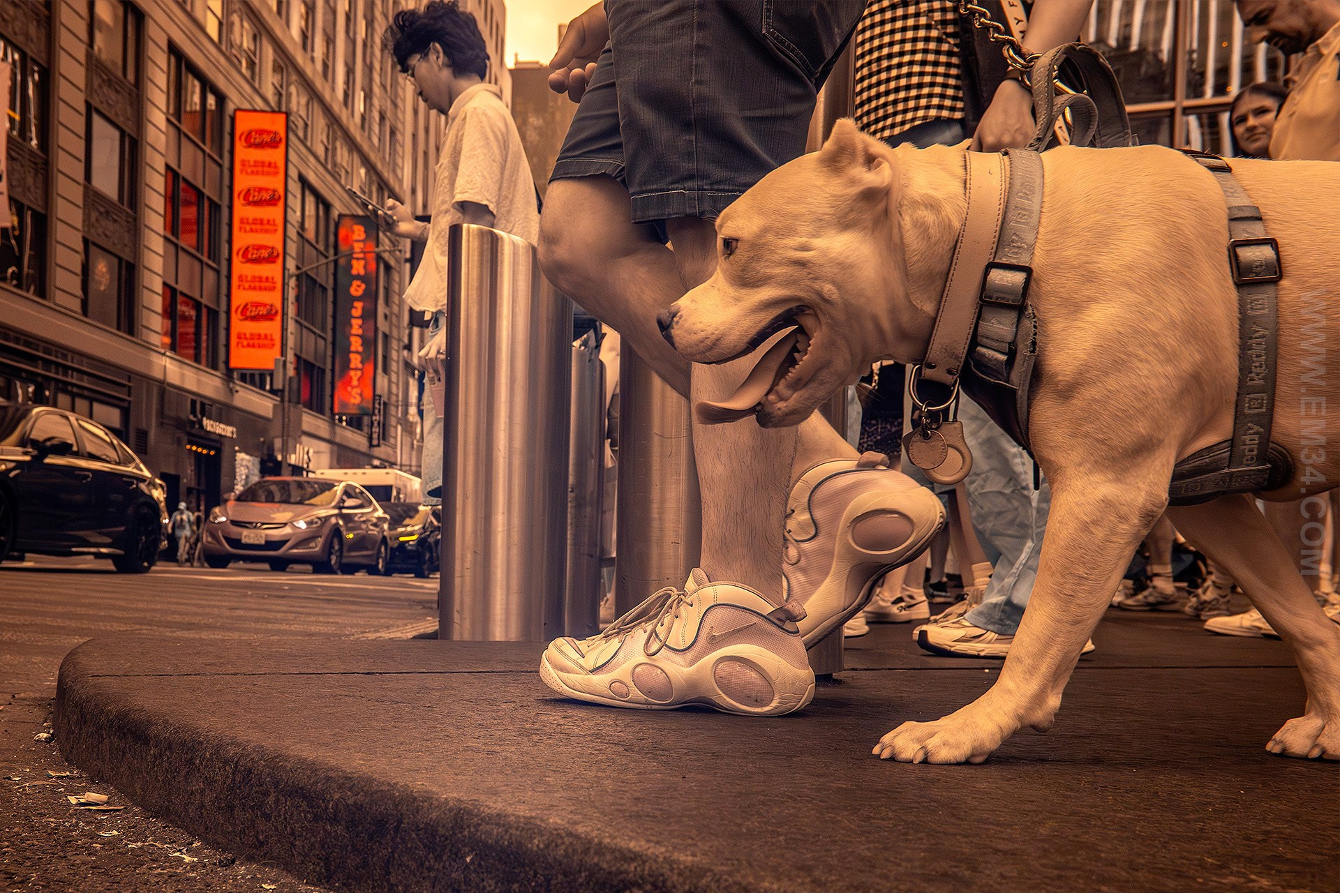 Halloween in New York. Emin Kuliyev | NYC Wedding Photojournalist | Documentary-Style Wedding Photography