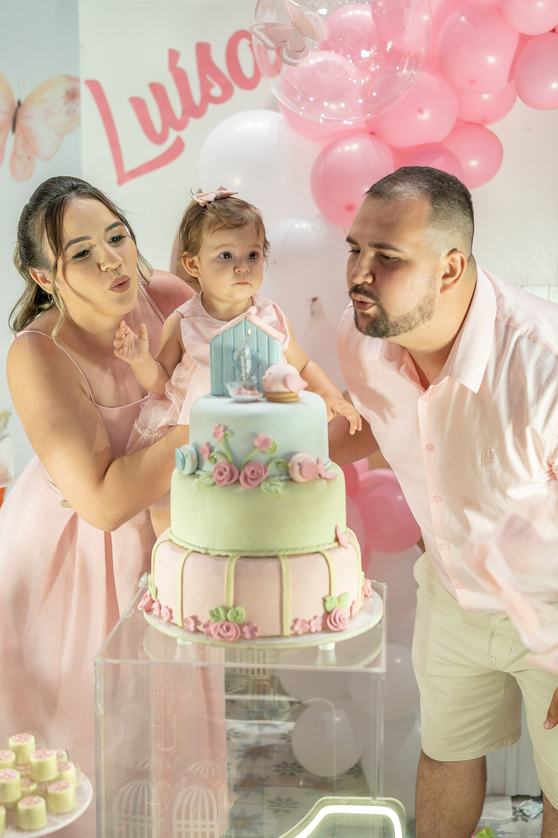 1 ano da Luísa
