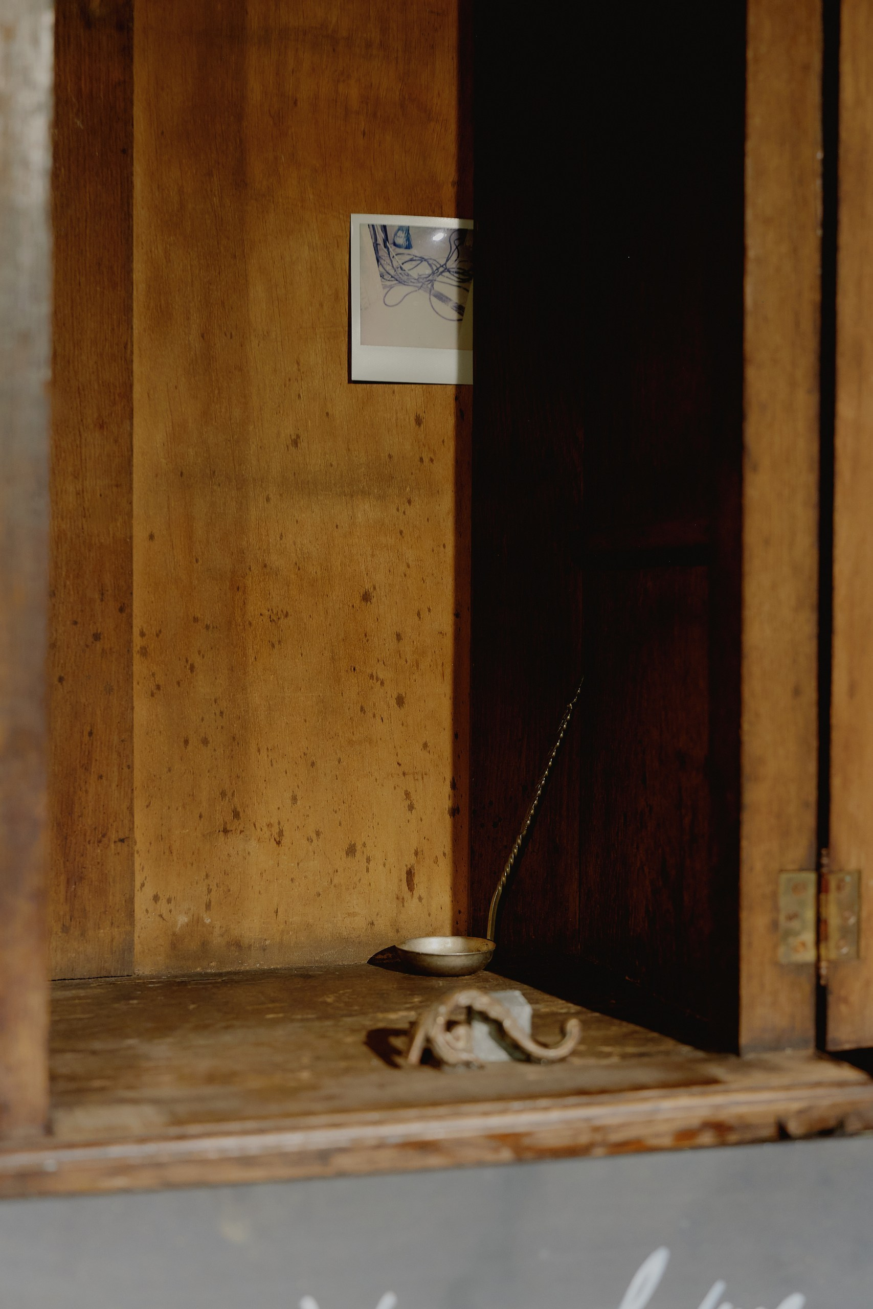 Spira mirabilis| Удивительная спираль. Alina Kugush