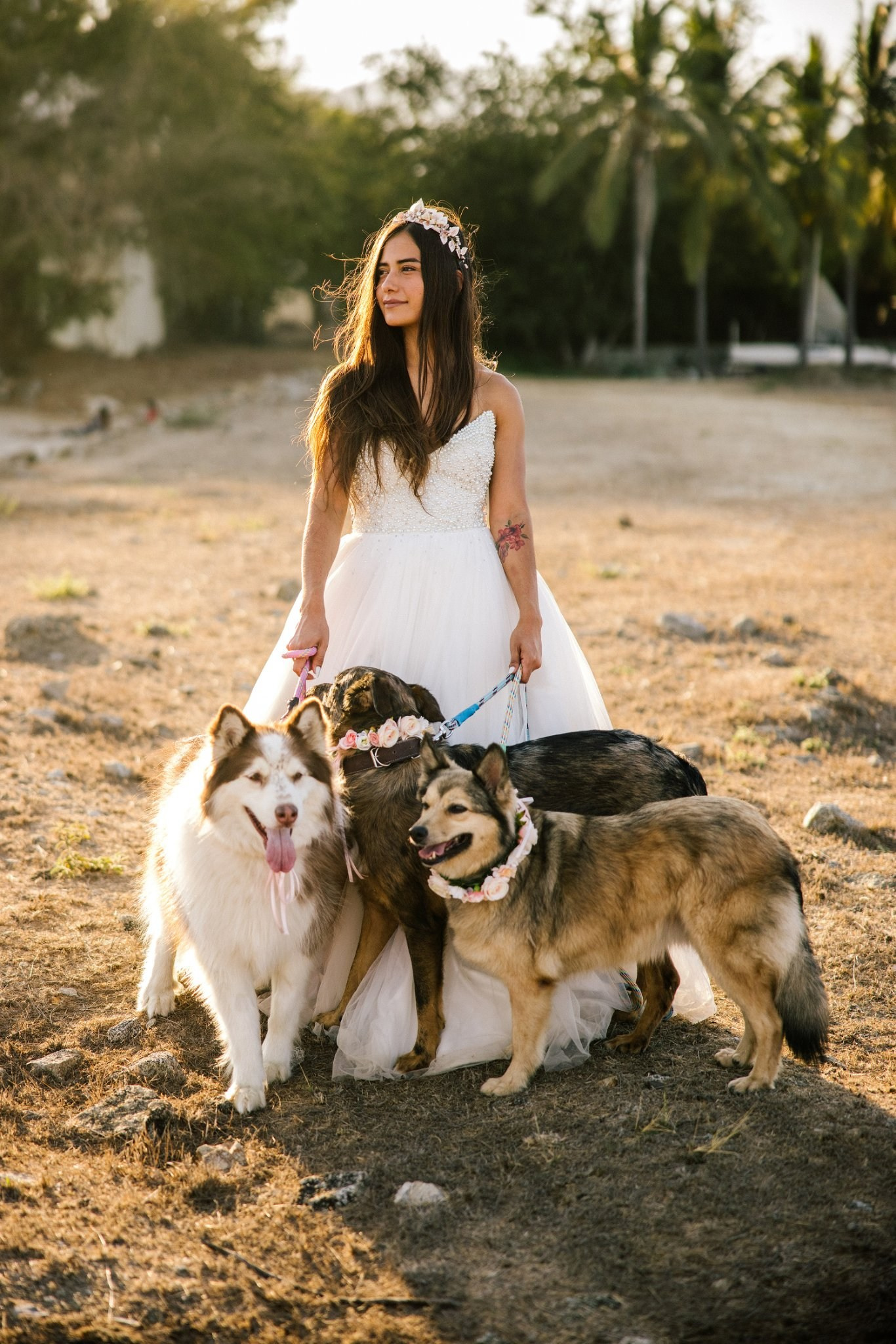 Jorge Romero Fotógrafo de bodas