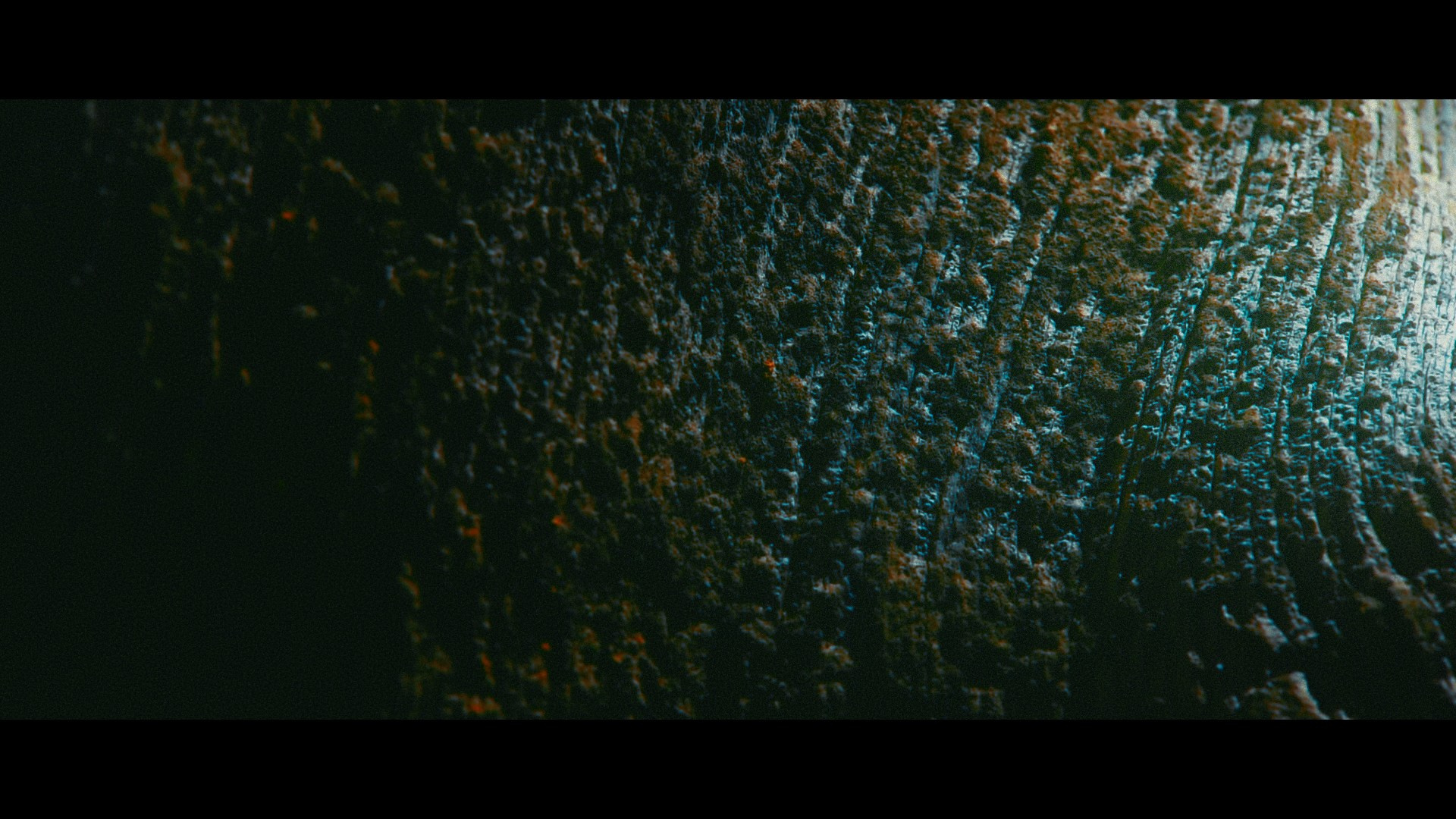 Amirhamzeh Mashayekhi Colorist