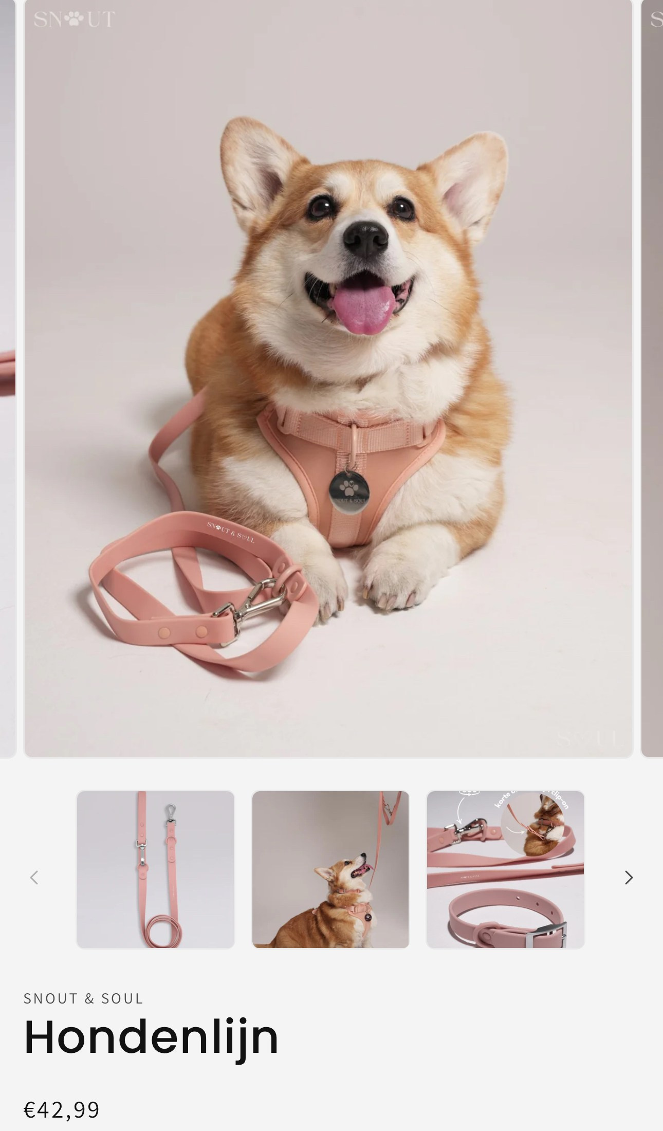 Fotografin. Fotostudio Aesthetic Space