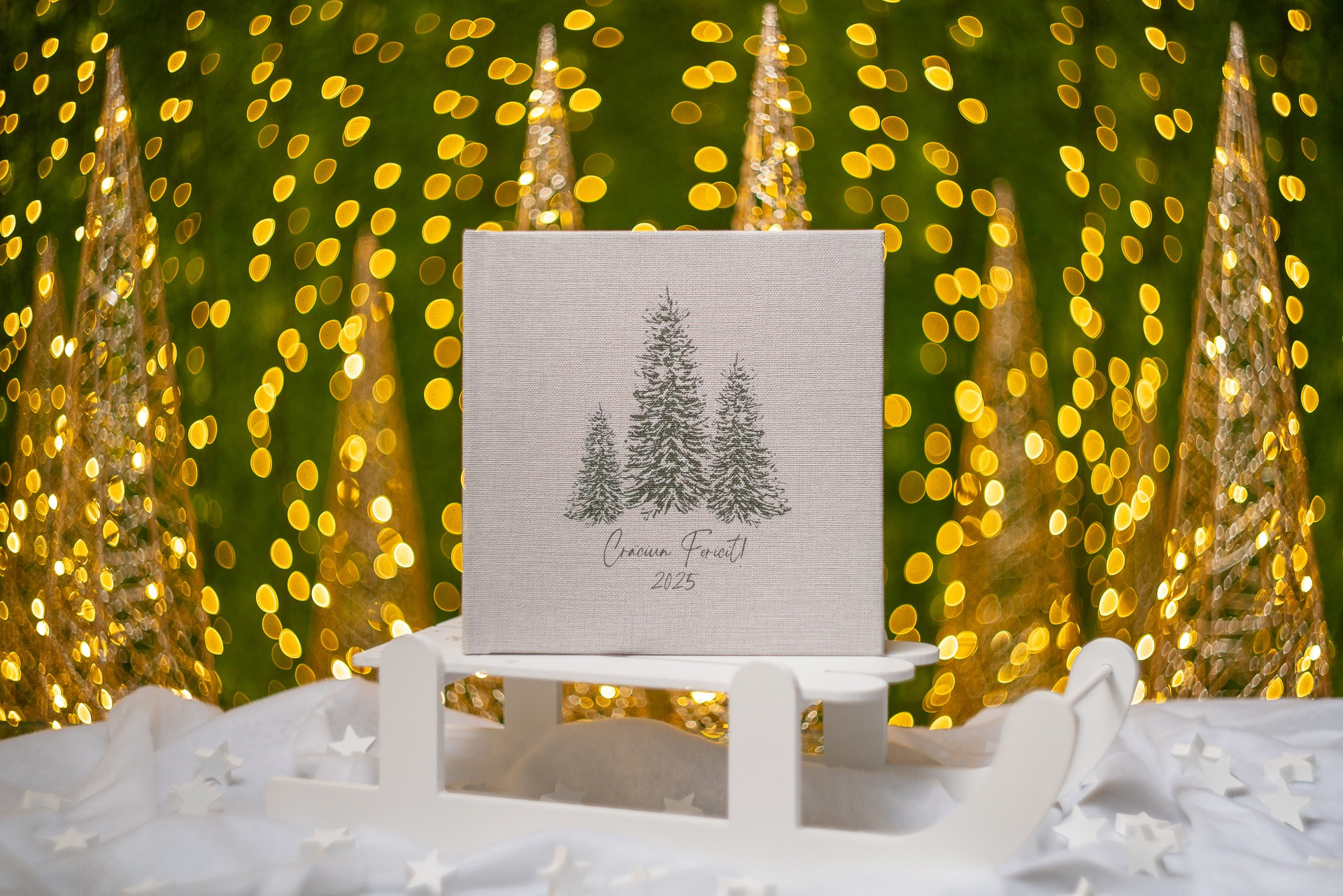 Sedinta foto de Craciun