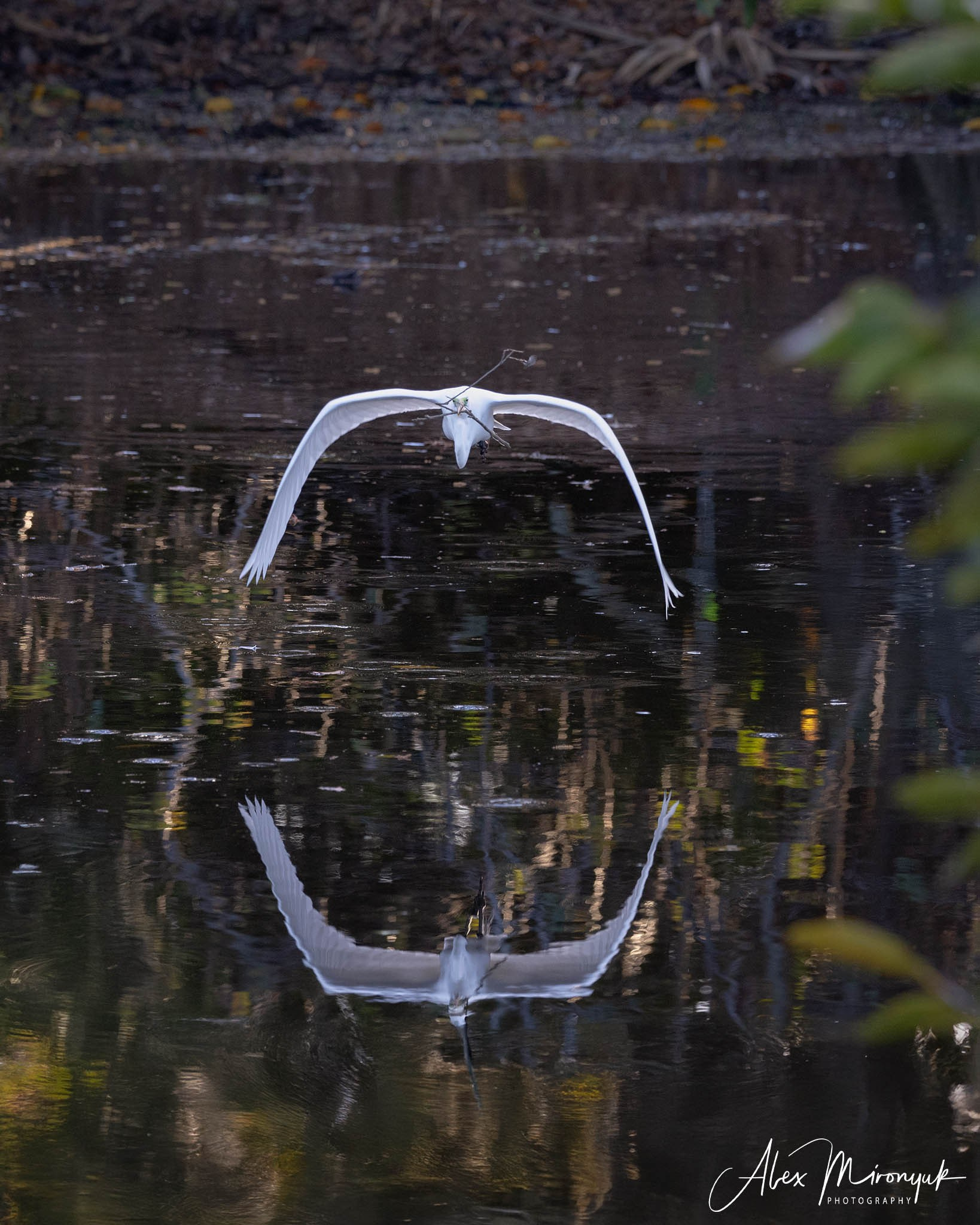 Exploring True Florida: Springs, Rivers & Manatees by Canoe. Pet, Senior, Landscape, portrait studio, photographer in Miami and Sou