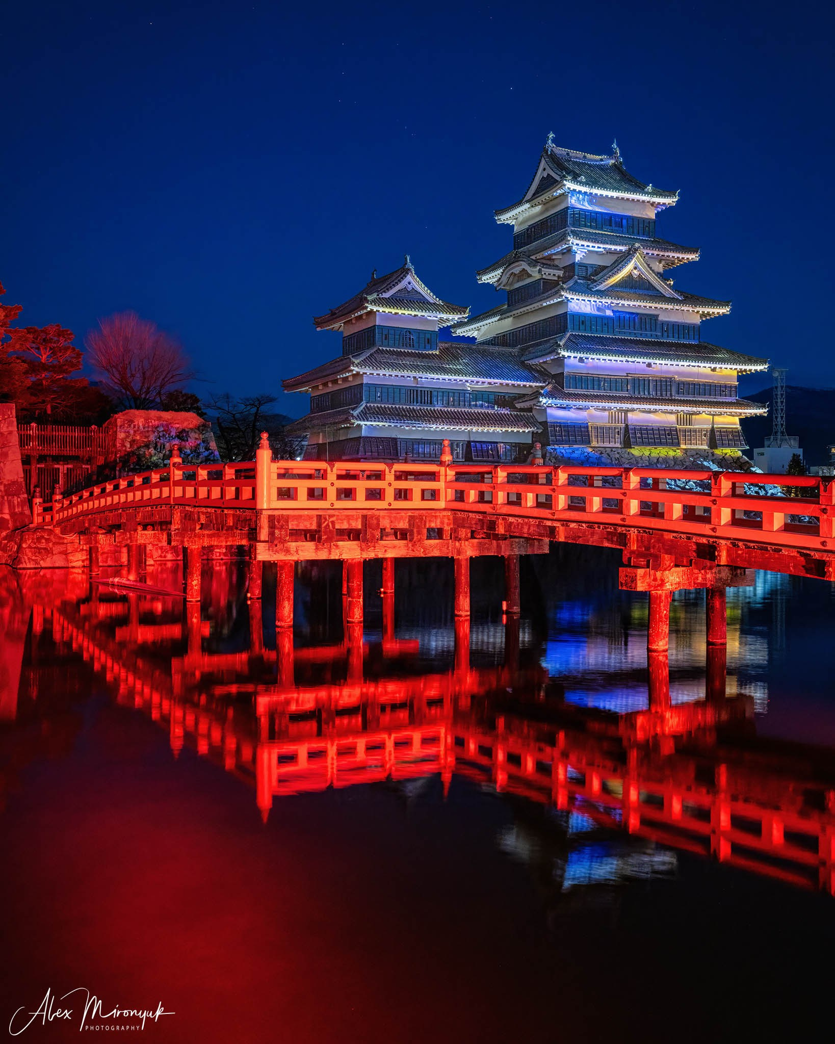 Winter Japan: Snow Monkeys, Castles & Timeless Villages. Pet, Senior, Landscape, portrait studio, photographer in Miami and Sou