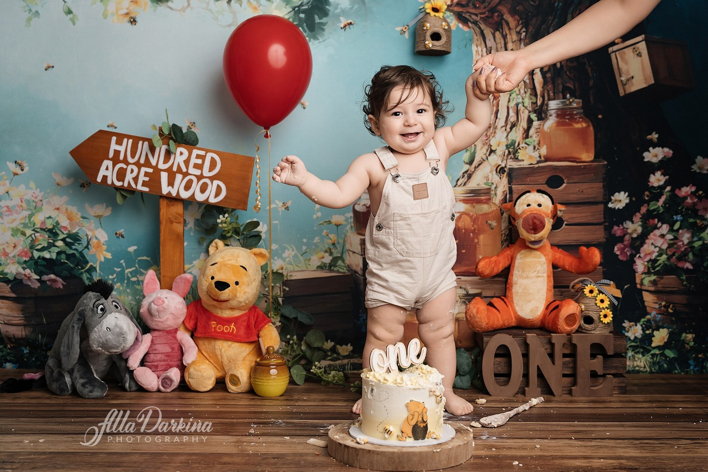 Arta’s “Winnie The Pooh” cake smash session