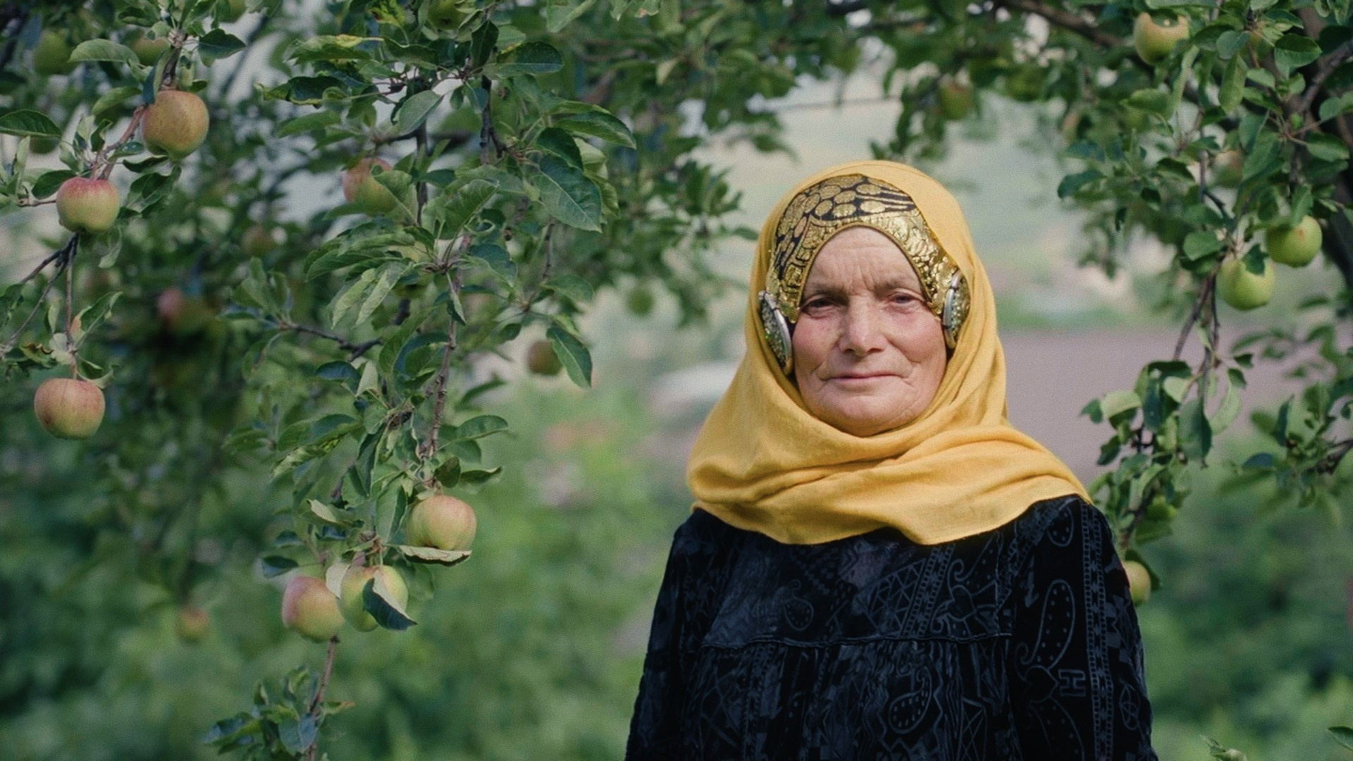 Gora yazykov | Documentary. Ilia Ivanov