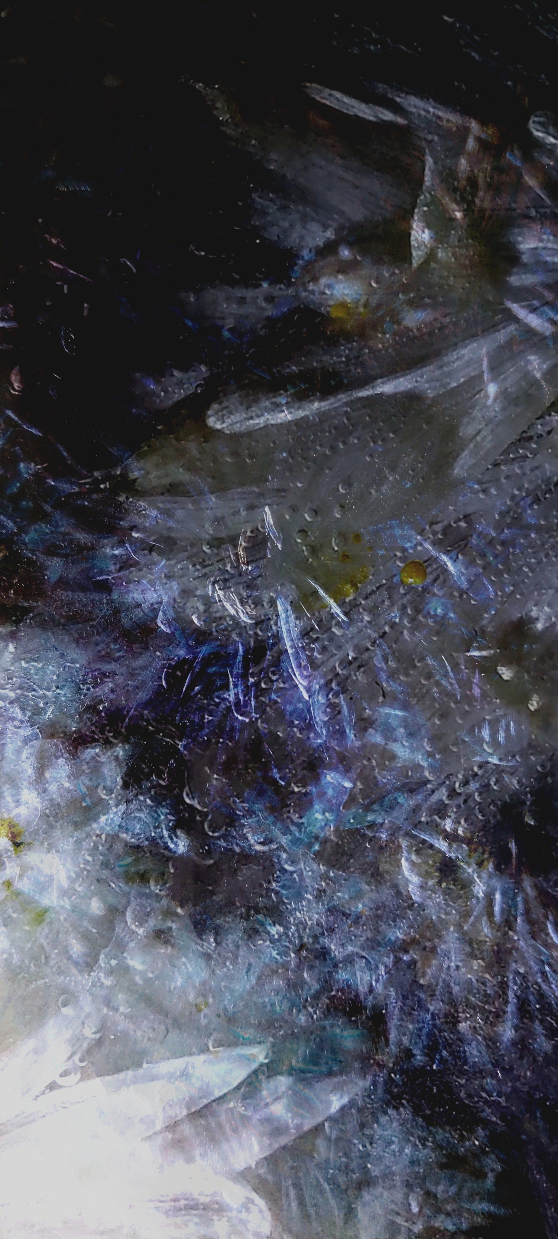 Продаж робіт. Photographer artist Liashenko Oksana