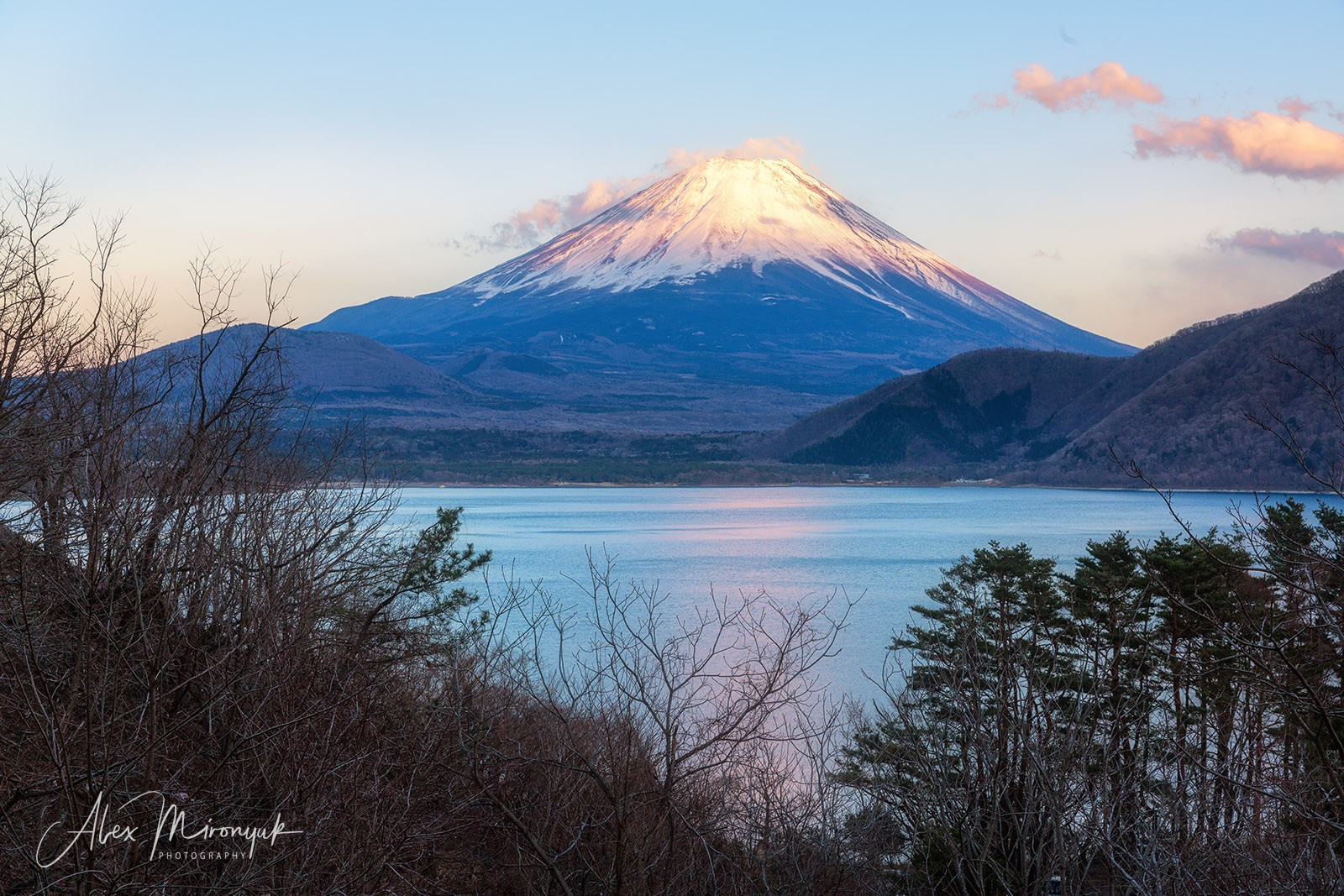 Hanami Season in Japan. Pet, Senior, Landscape, portrait studio, photographer in Miami and Sou
